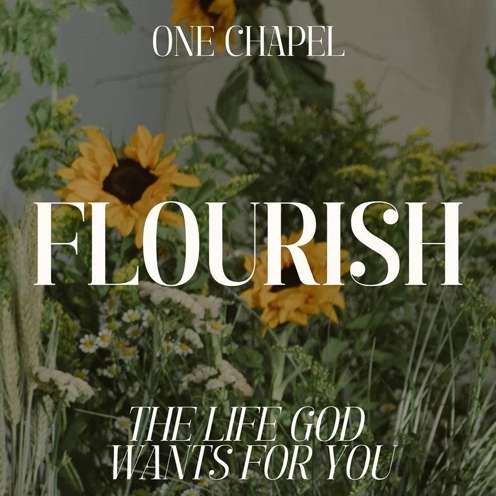 Flourish: Occupationally