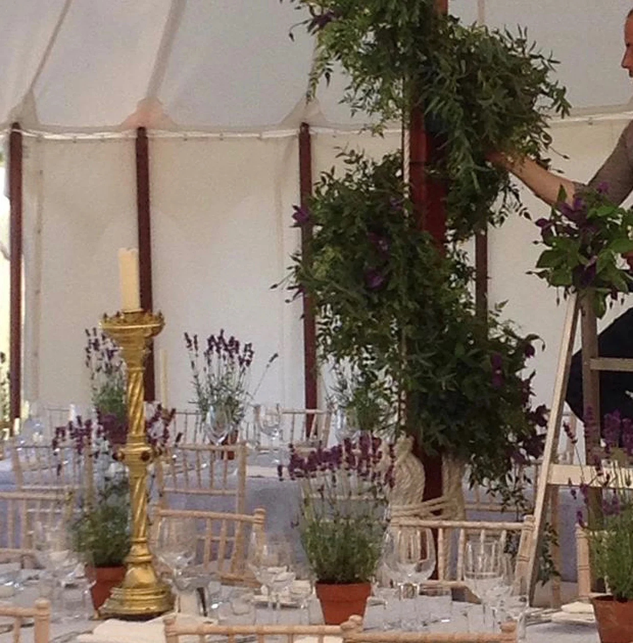 jasmine and clematis poles. winston, suffolk