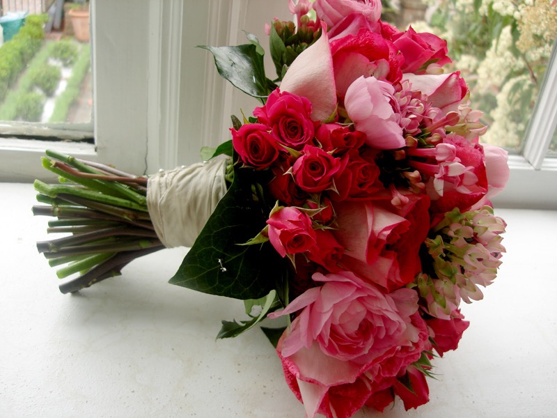 red and pink roses, savannah, usa