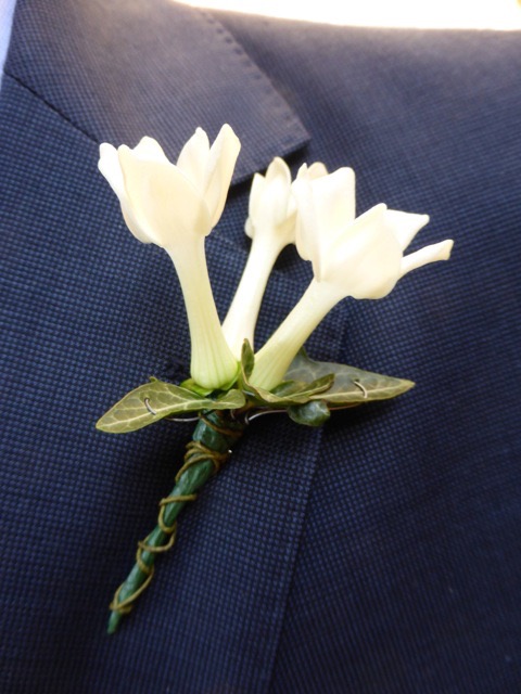 Stephanotis buttonhole