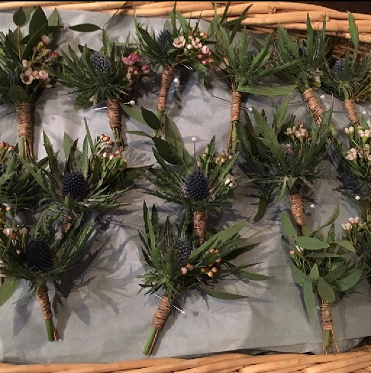 eryngium and wax flower buttonholes