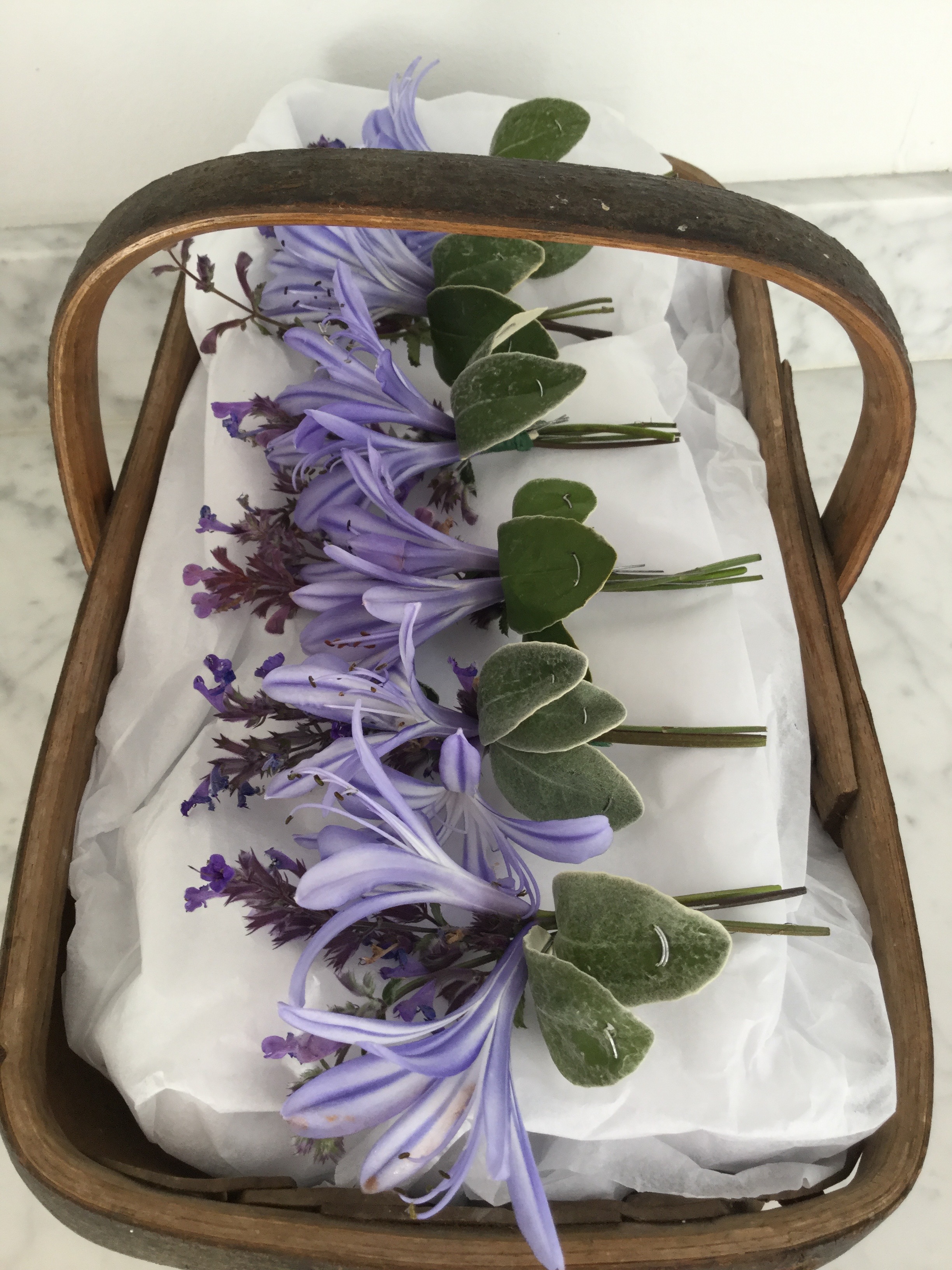 agapanthus and hyssop buttonholes