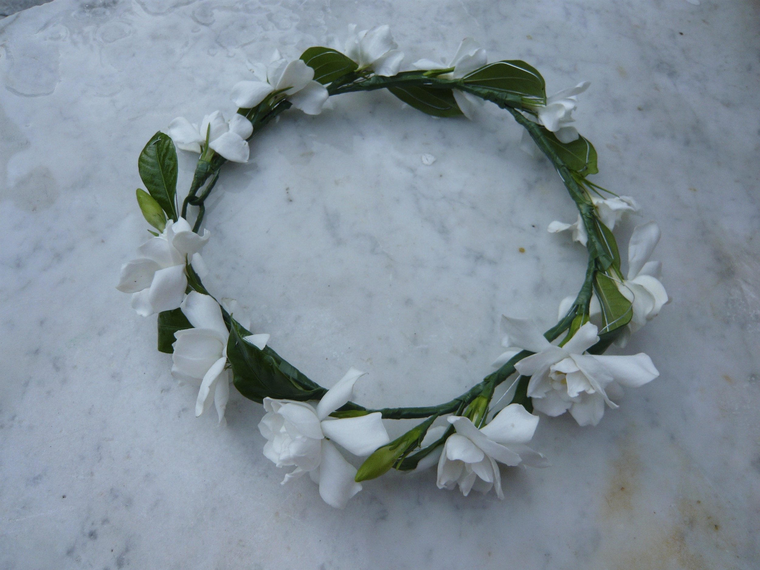 gardenia circlet