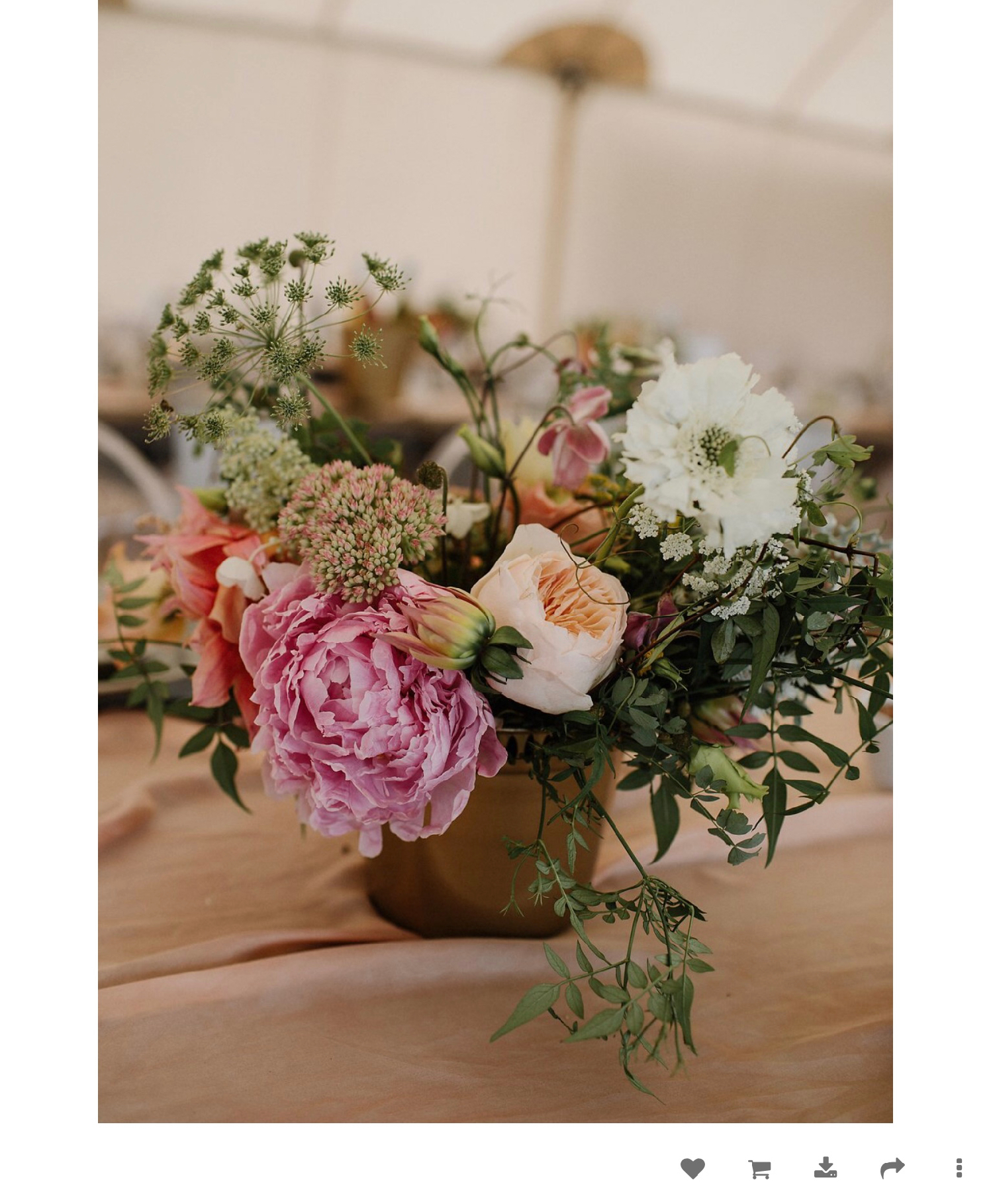 juliet rose and jasmine. summer table