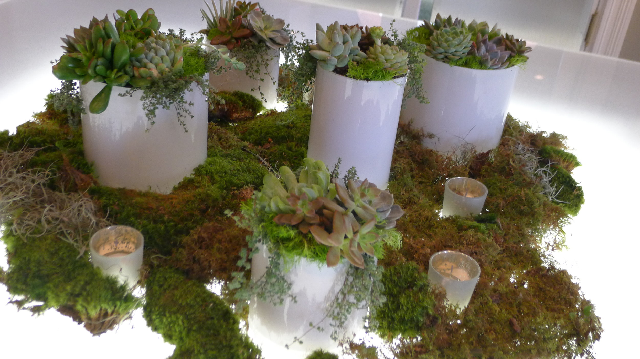 succulent tablescape, illuminated tables, savannah, usa