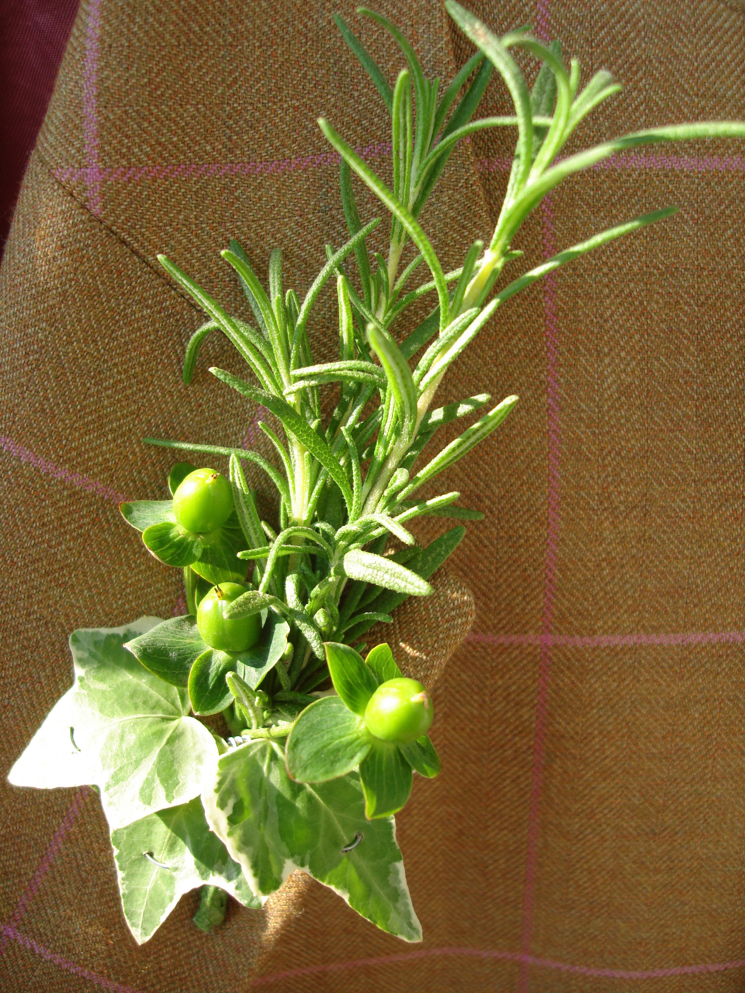 buttonhole with rosemary, hypericum and ivy