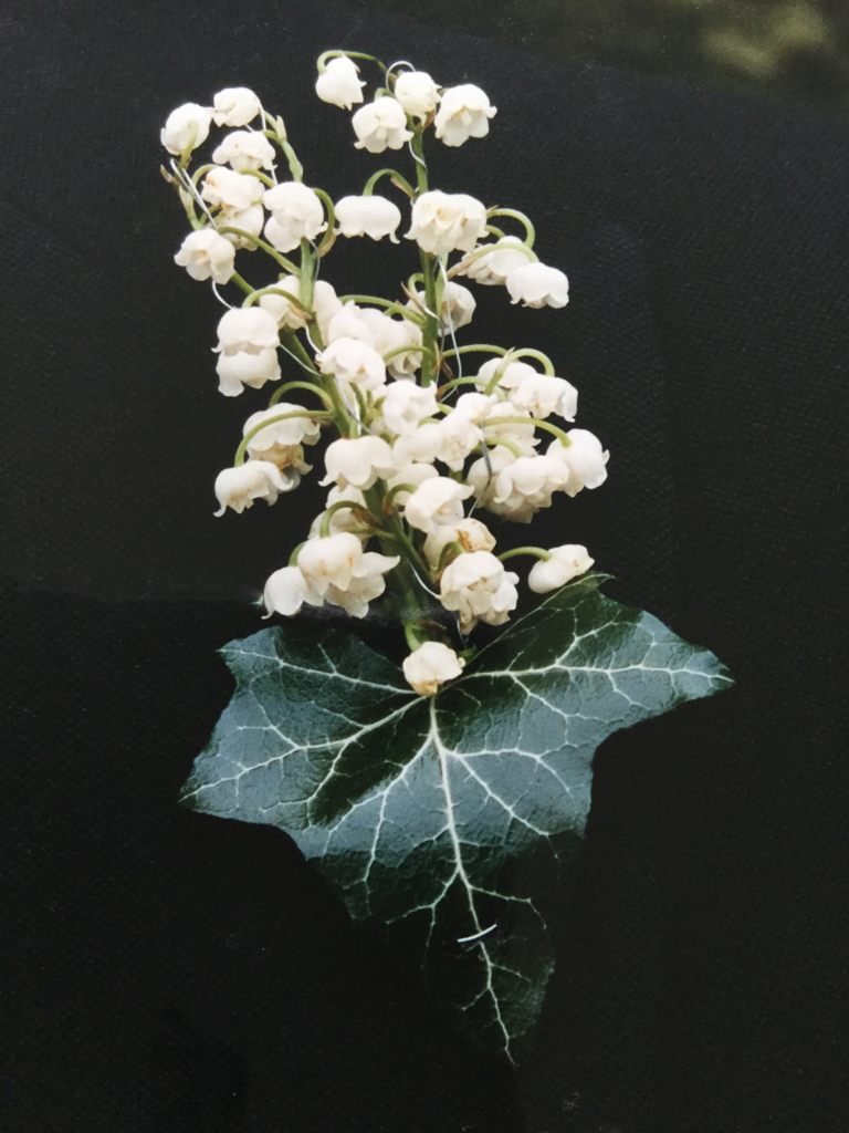 buttonhole lily of the valley and ivy