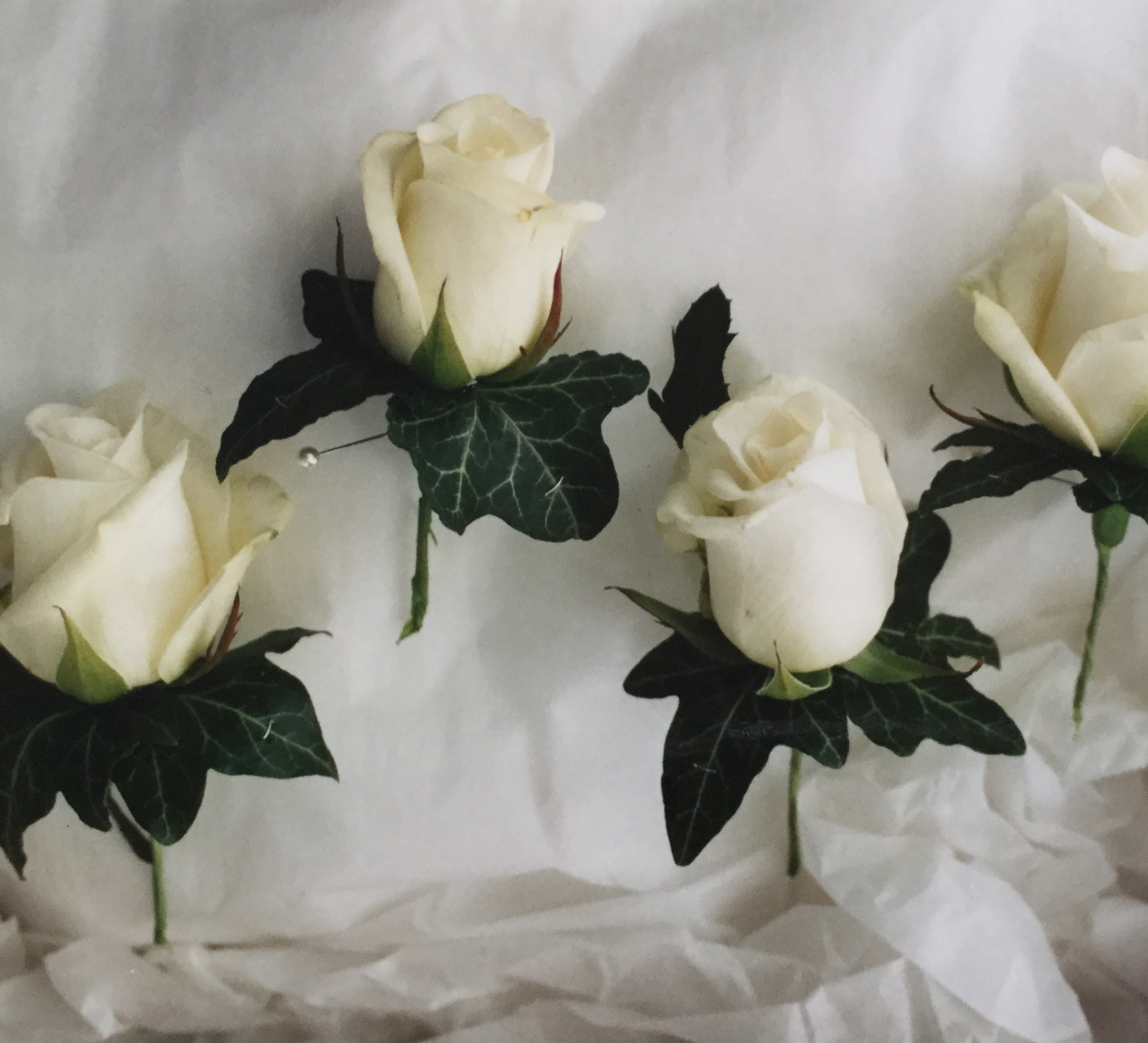 buttonholes. roseand ivy leaves