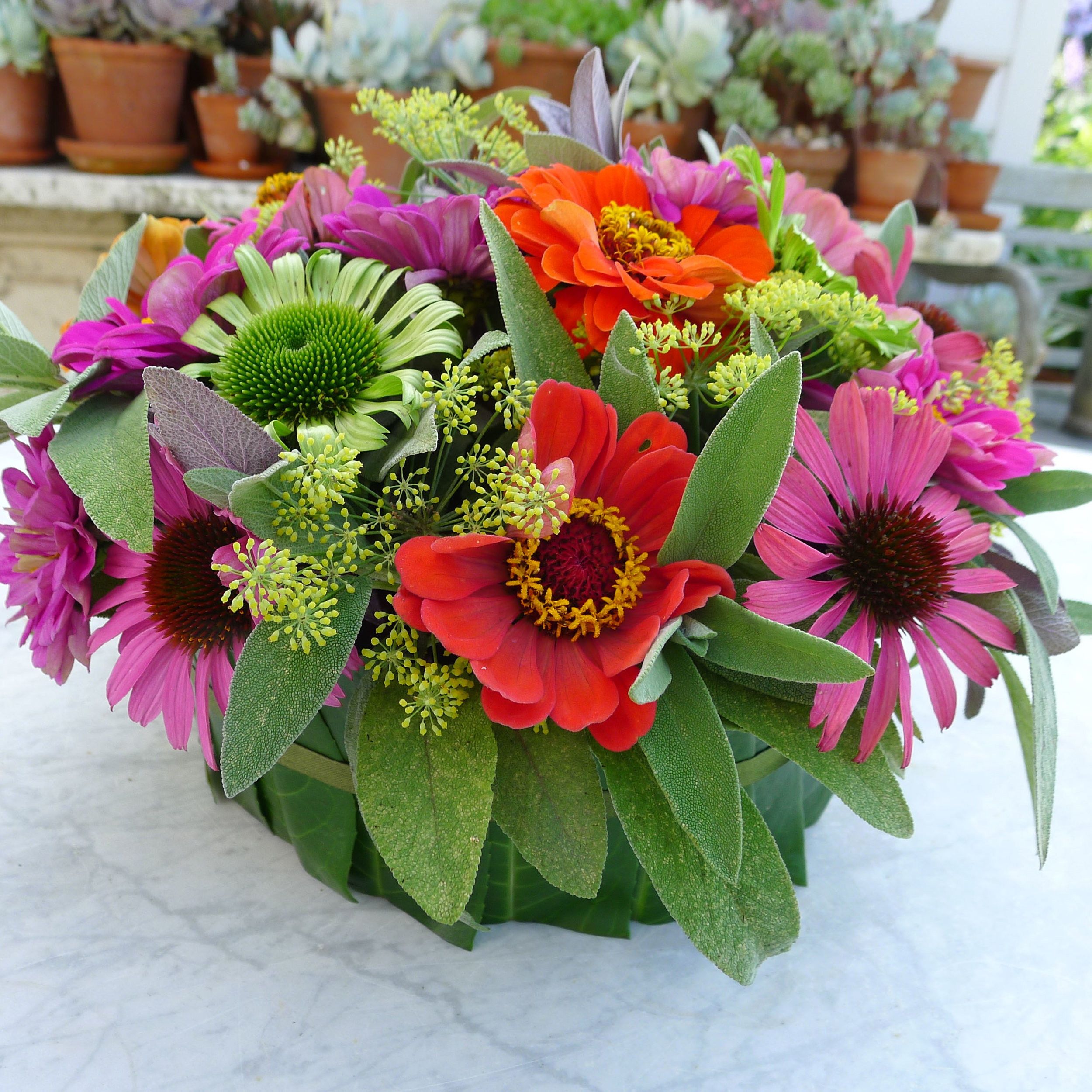 zinnias east bergholt