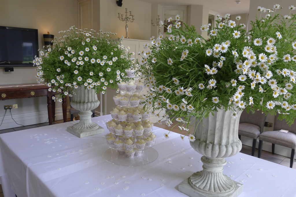 christening-flowers-daisy-theme.jpg