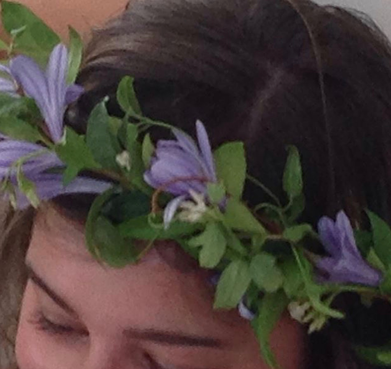 floral crown agapanthus