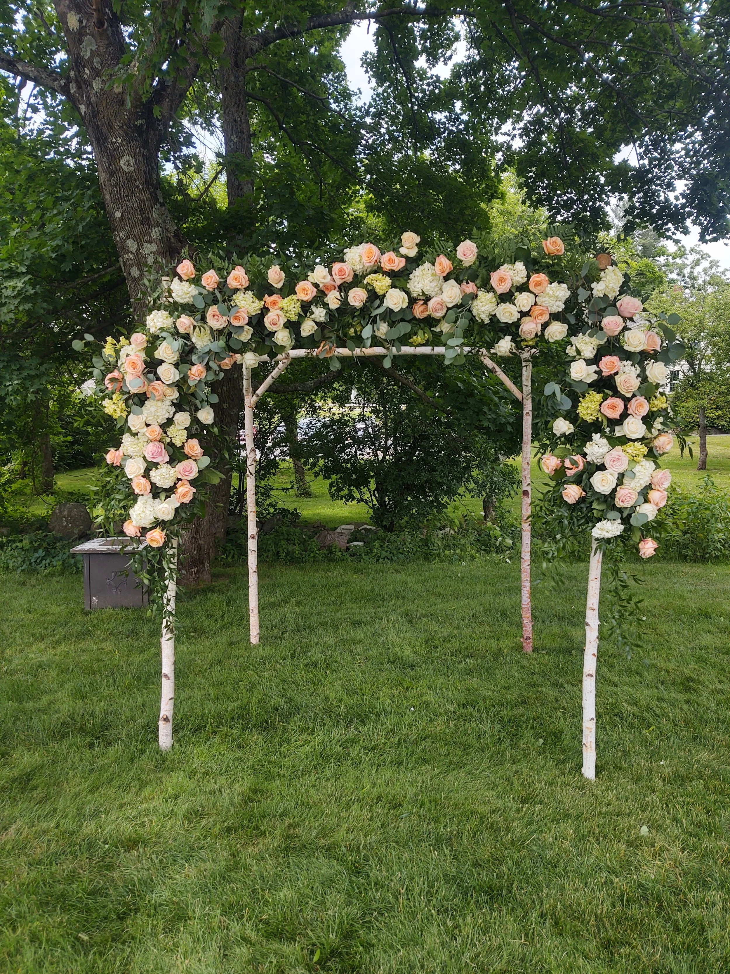 White Birch Chuppah
