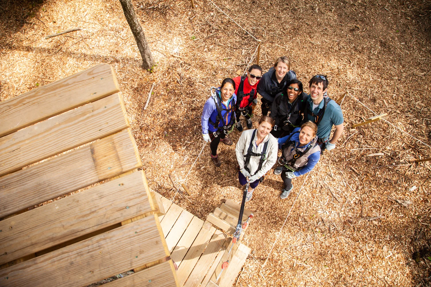 friends climbing at treetop adventures.jpg