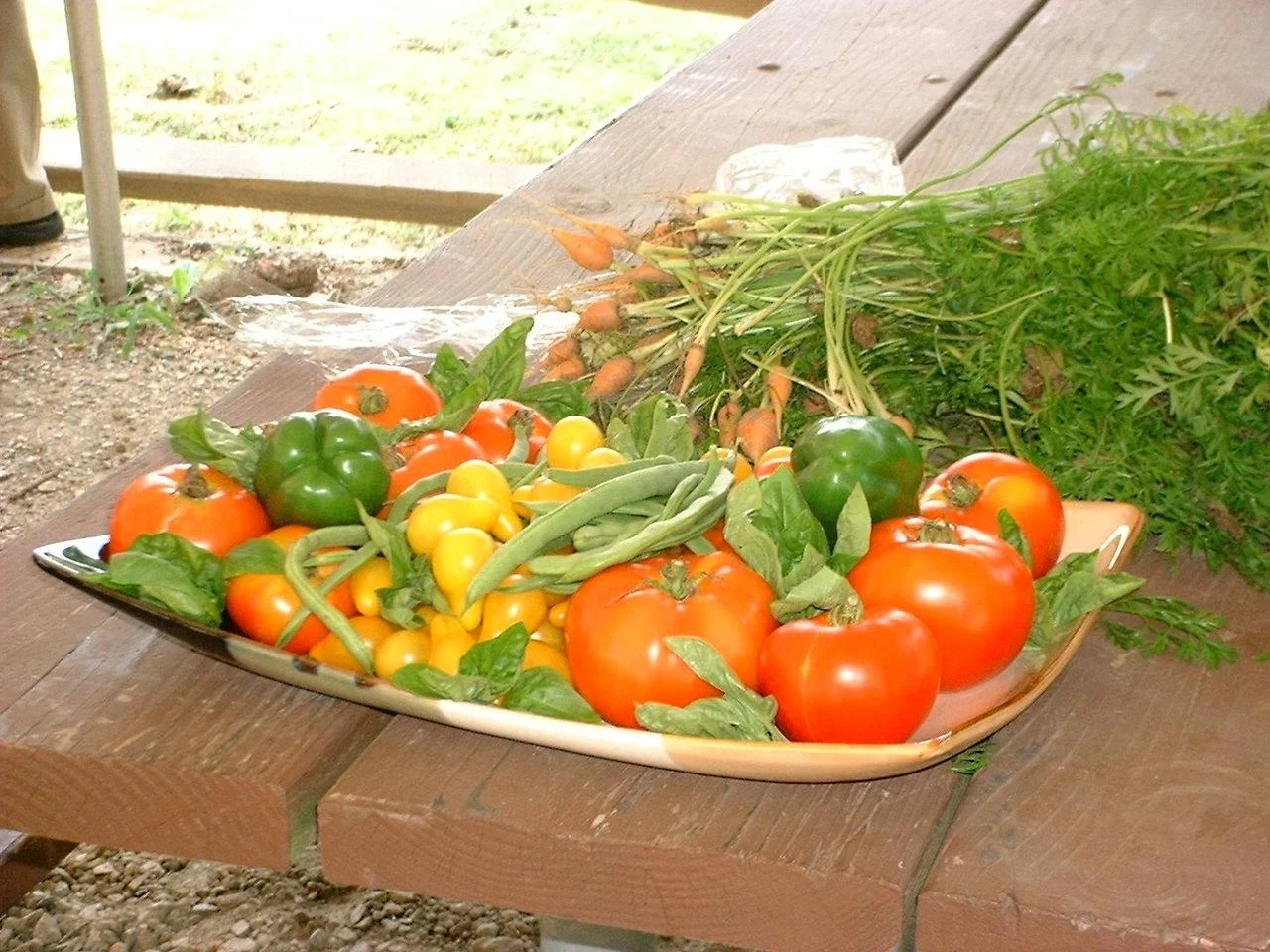 Community Gardens Grow in Fairfield County