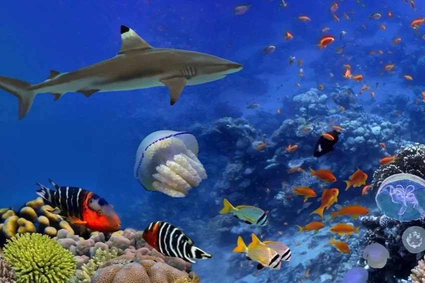 Concierge Calendar - April 2026