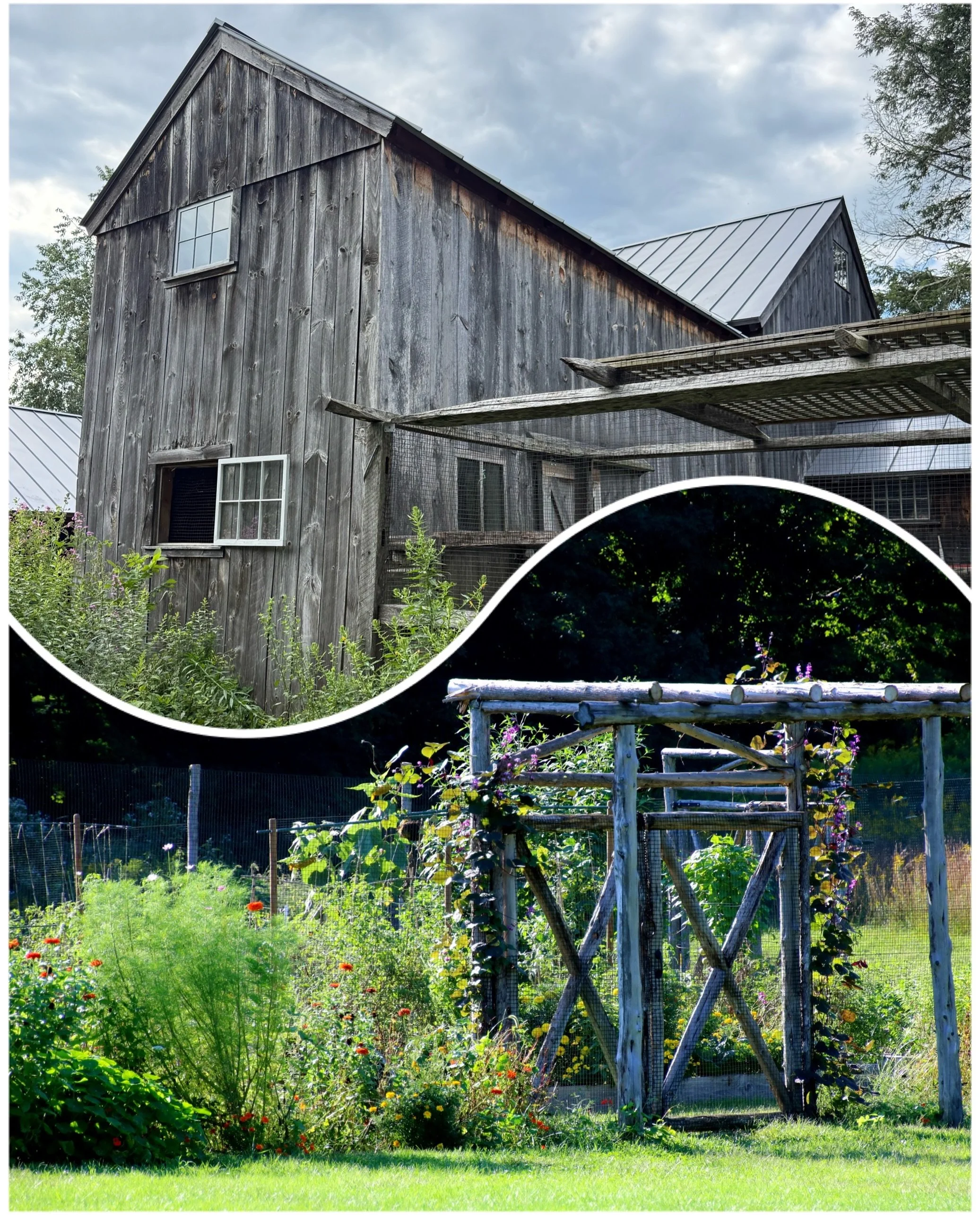 Favorite Places: Lachat Town Farm

Exceptional most any day, but Lachat Town Farm has a true community vibe during their Friday Night Markets!So many amazing vendors &mdash; like the build your own bouquet truck with the freshest blooms around. 

We 