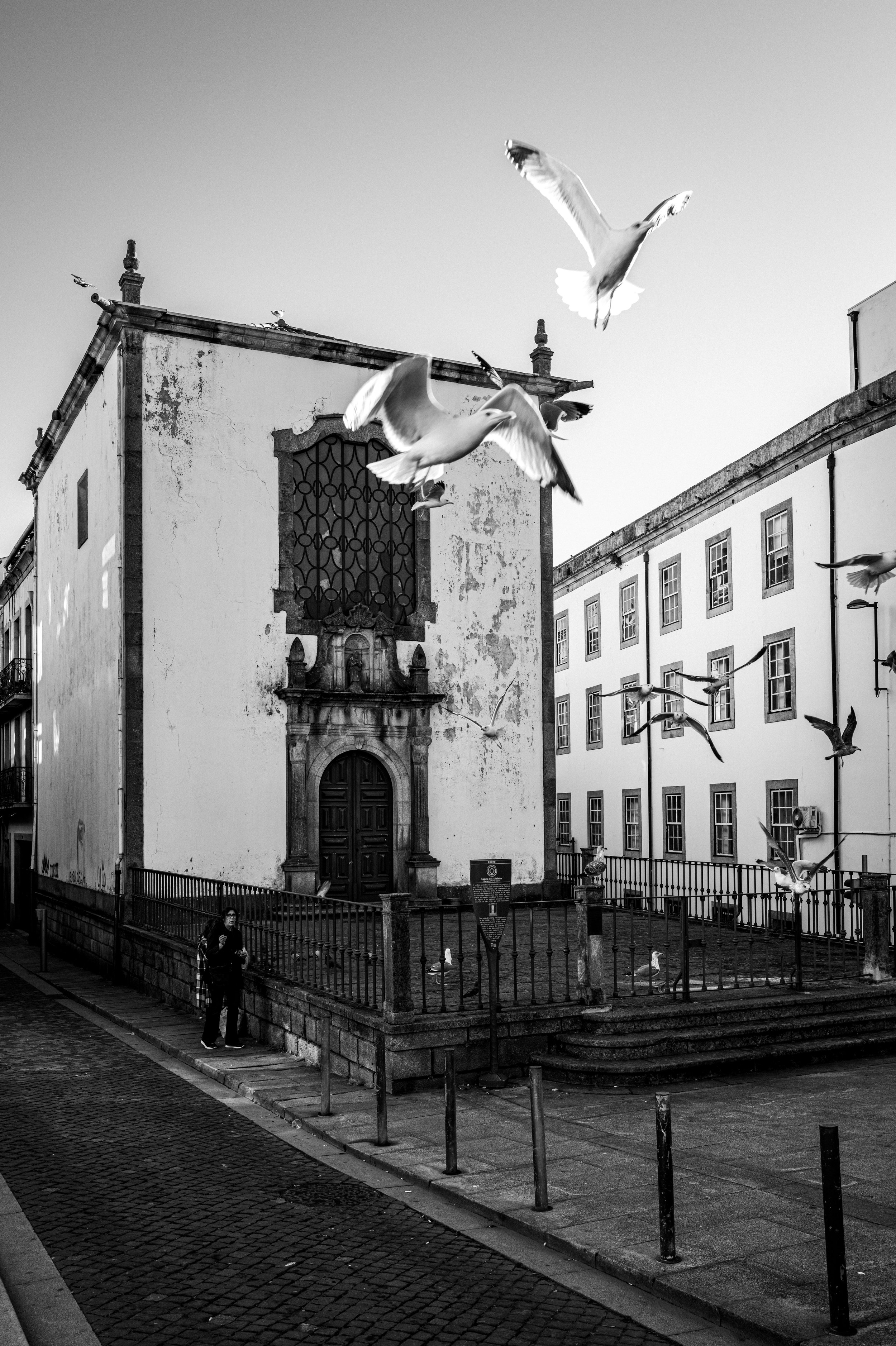 L1000915.jpg