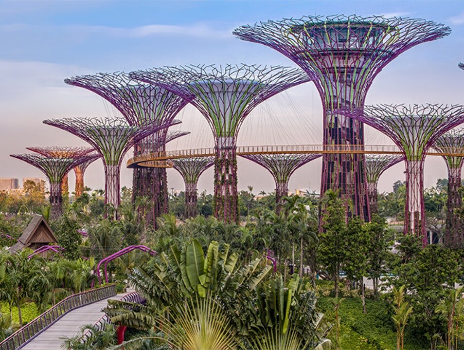 Gardens by the Bay