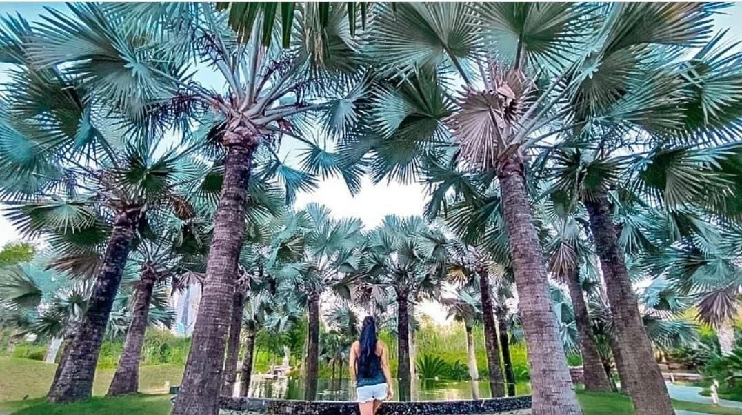 City Diaries: Singapore