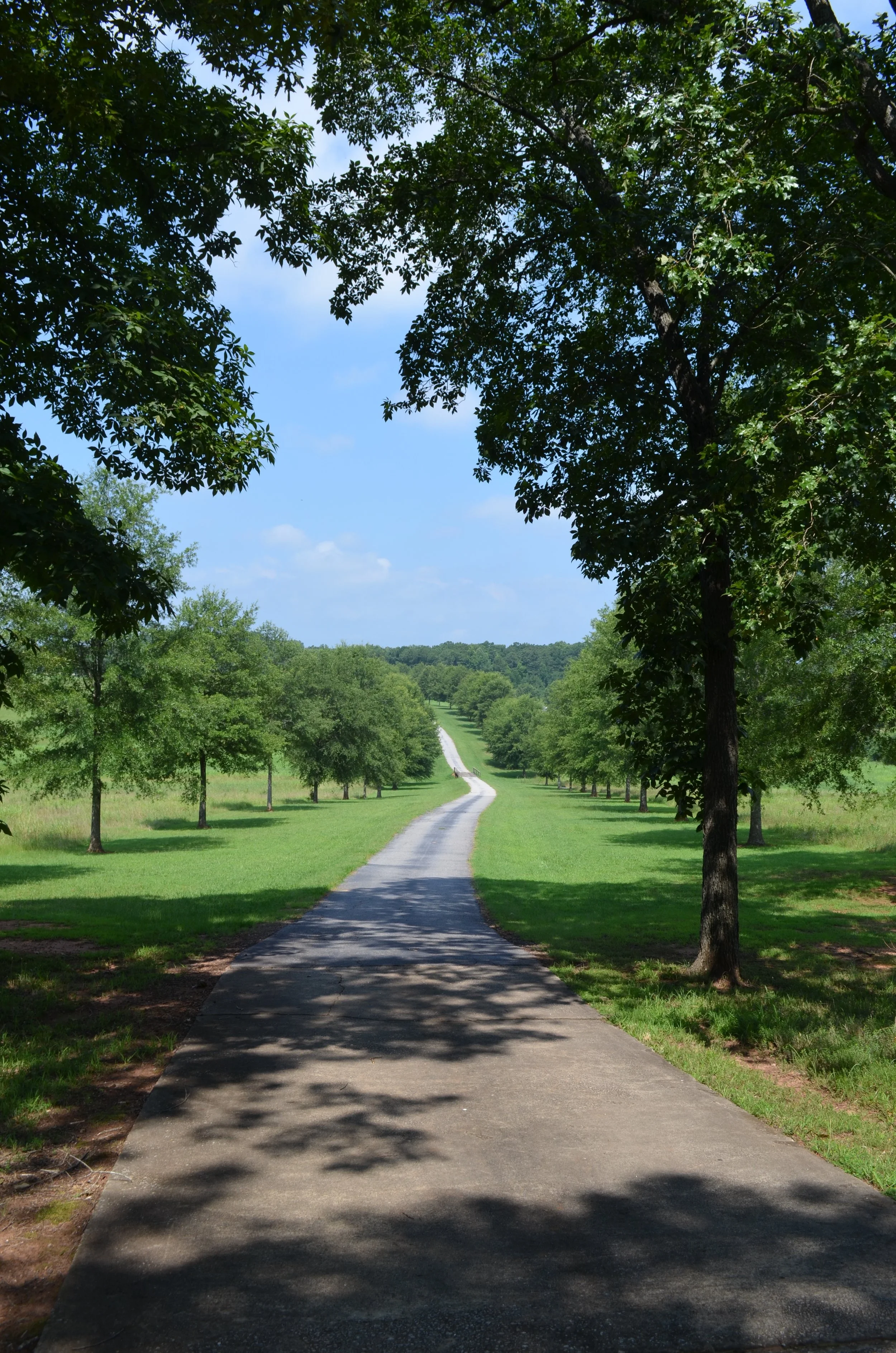 DSC_0782.jpg
