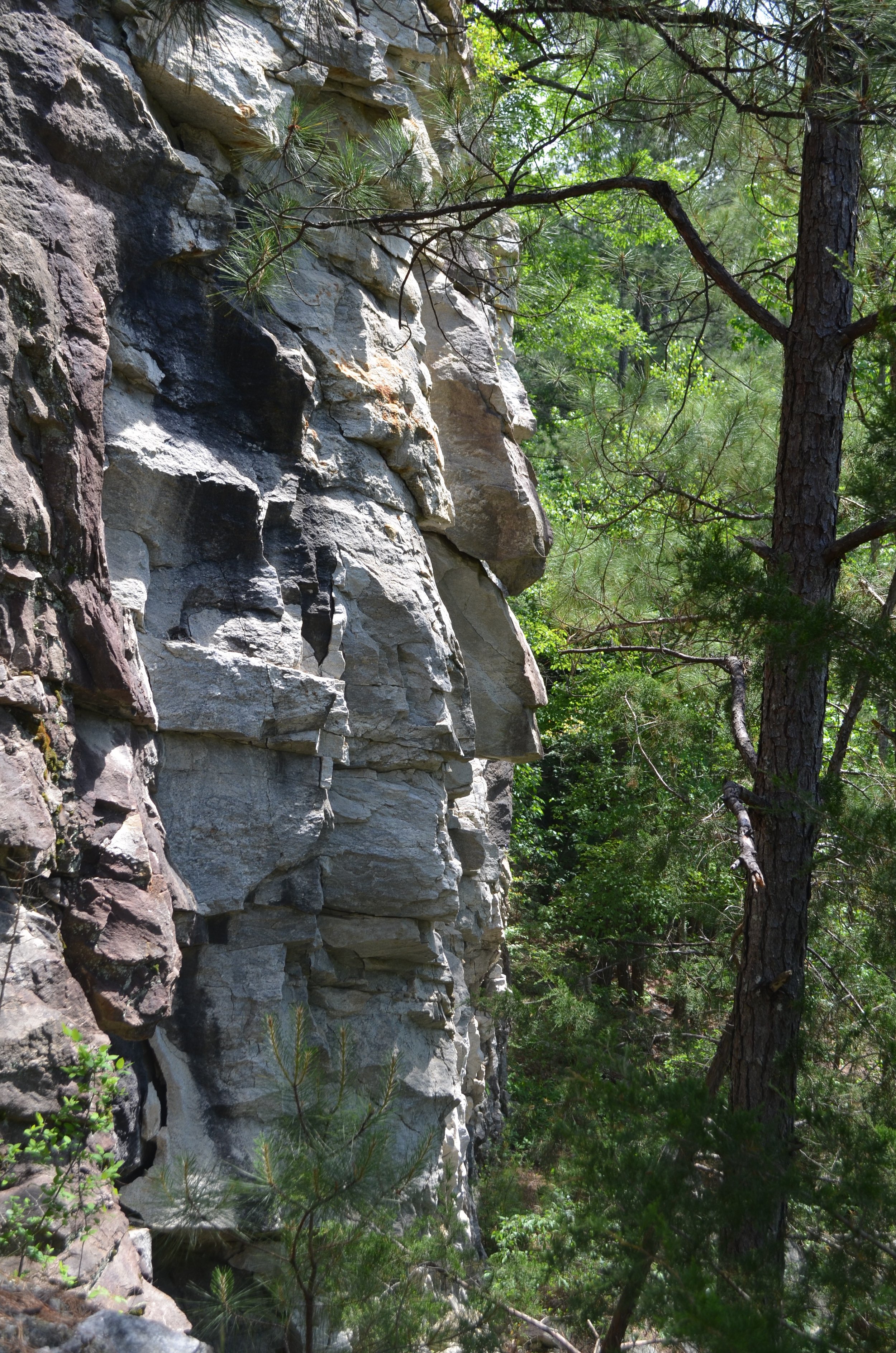 DSC_0773.jpg