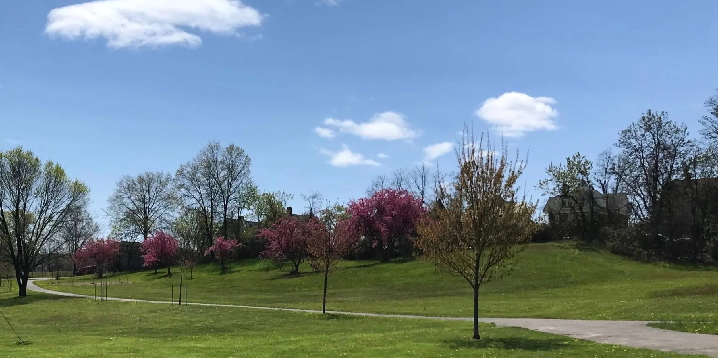 2022+Colt+Park+Foundation+Hartford+Connecticut+1.jpg