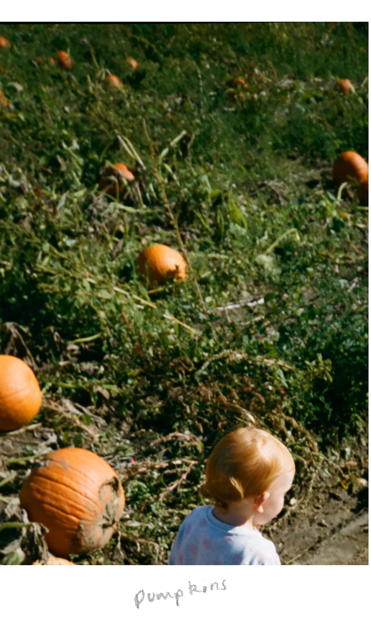 print8x10agentinsta000099740006.jpg
