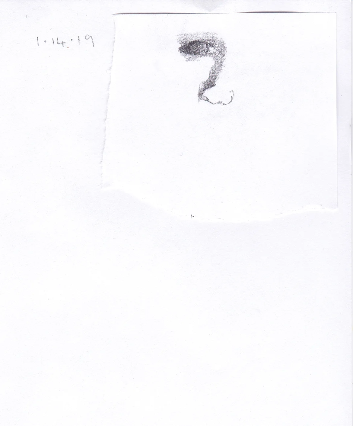doodle.jpg