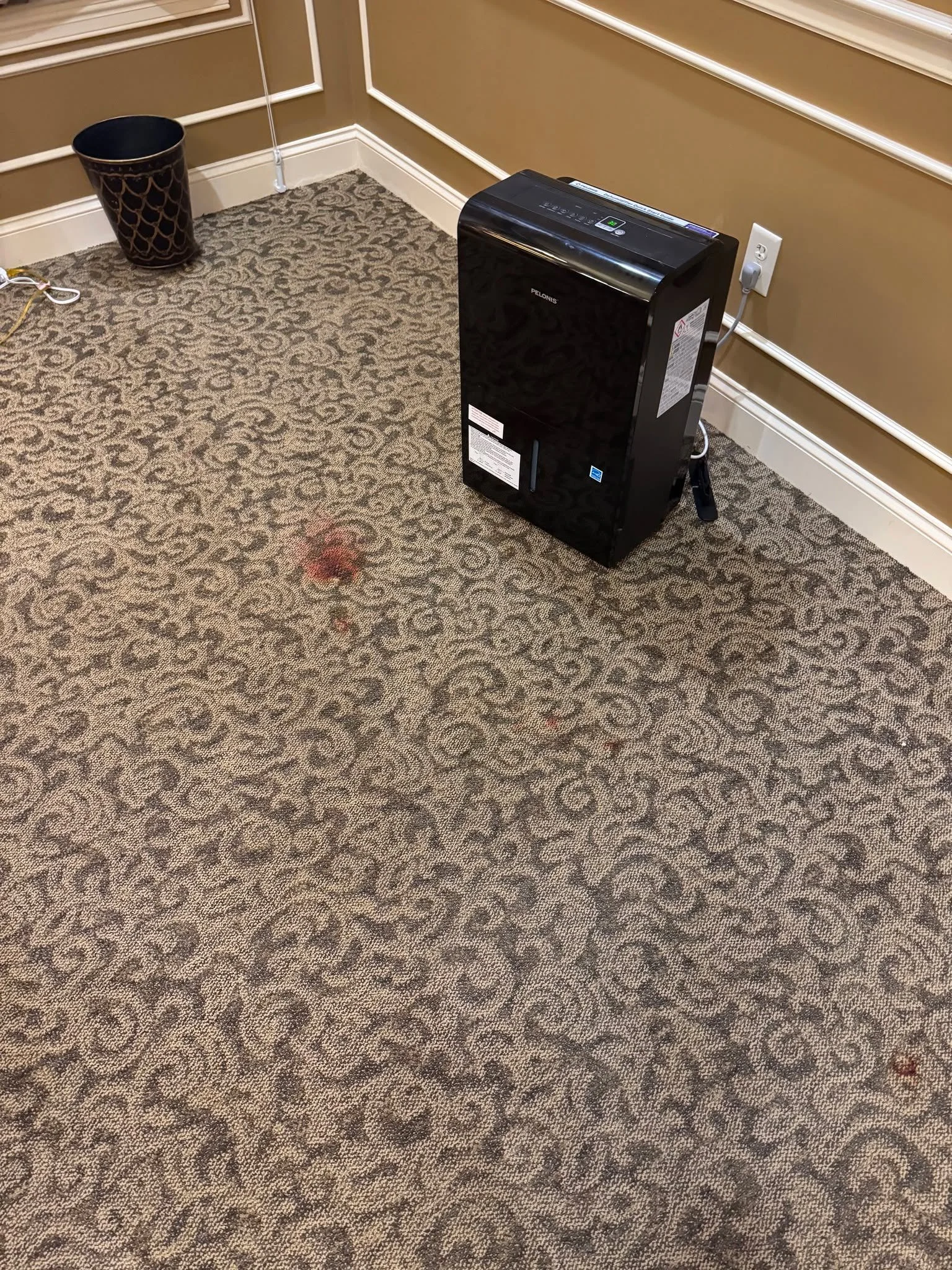 Revisiting a featured project at Sytsema Funeral Home &ndash; The Vanzantwick Chapel for targeted repairs to patterned cushion-back broadloom. Accurate pattern identification, attic stock coordination, and precise placement were key to maintaining th