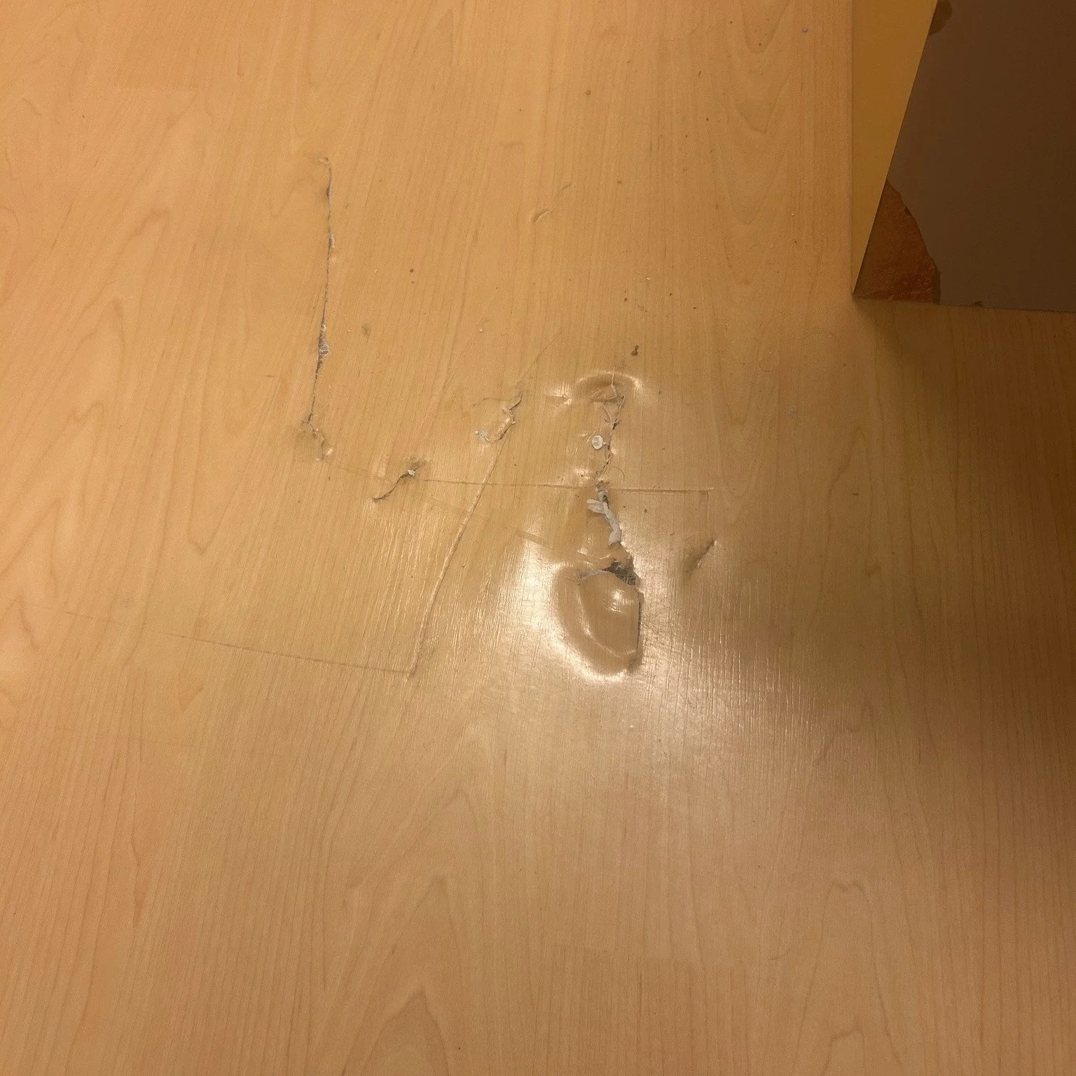 Repair work completed on the 6th floor at Holland Hospital.
These photos show the damaged area, the repair process, and the finished floor&mdash;restored cleanly and seamlessly.

Every repair matters, especially in healthcare spaces, and we approach 