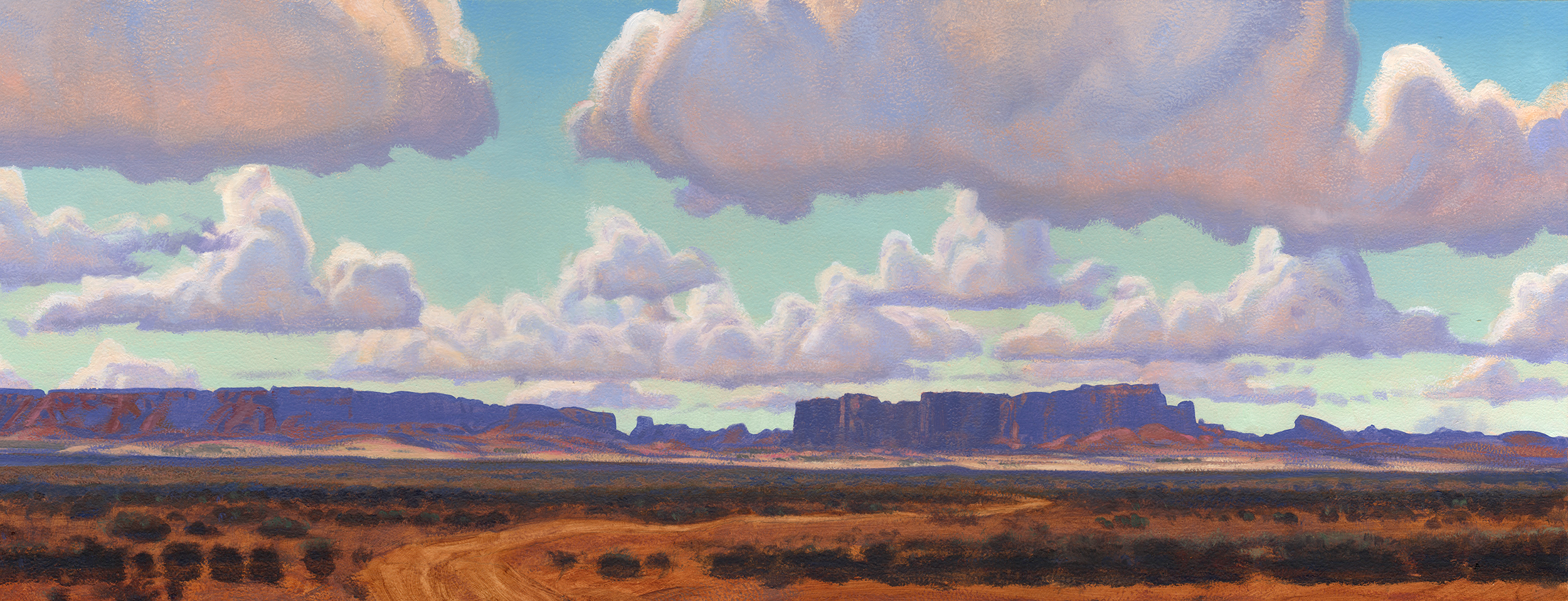 Navajo Mesas