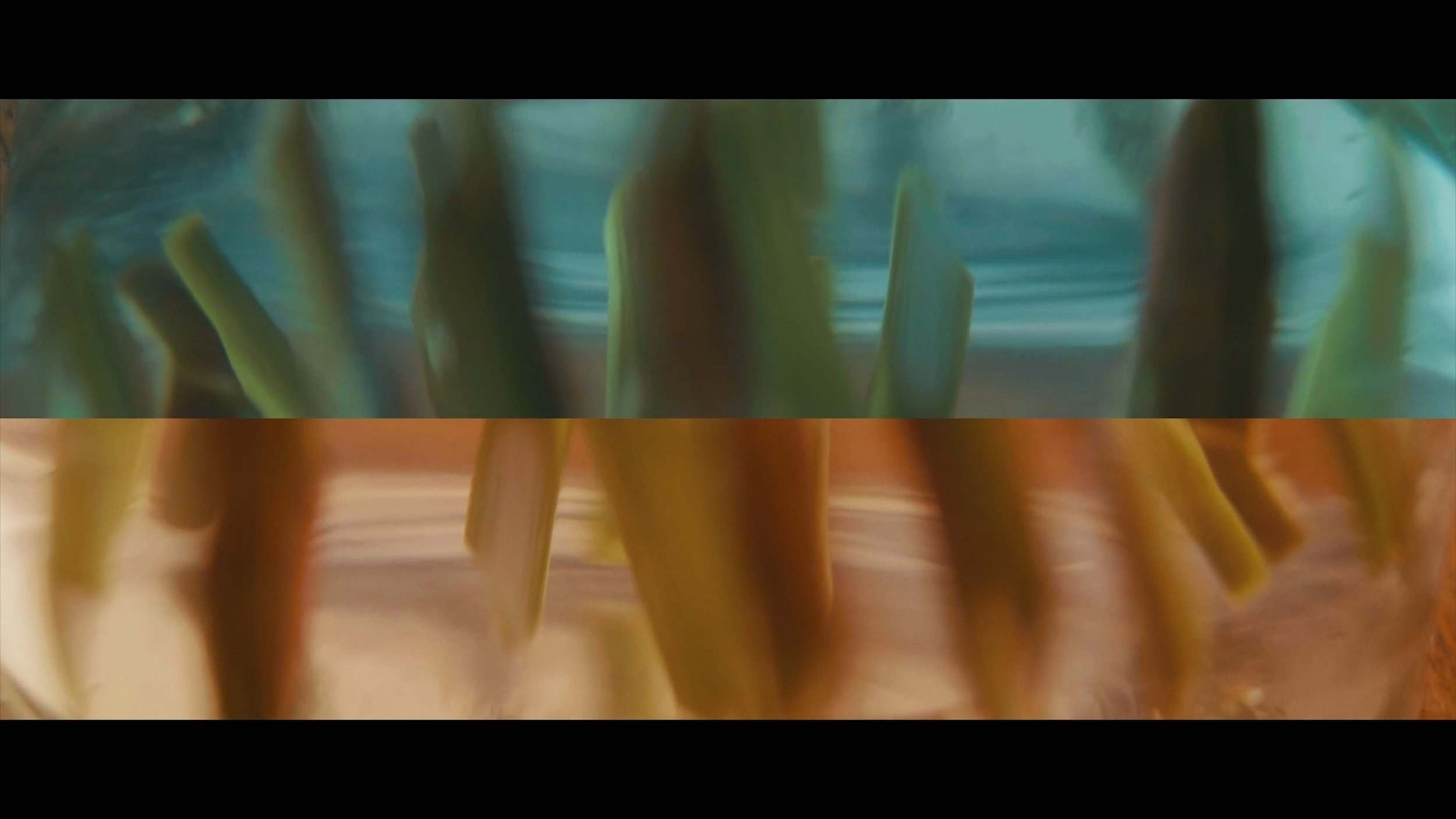 JOOP_x_Milla_Jovovich-vimeo-296645600-dash-fastly_skyfire-video-1132111221.mp4_snapshot_00.09.894.jpg