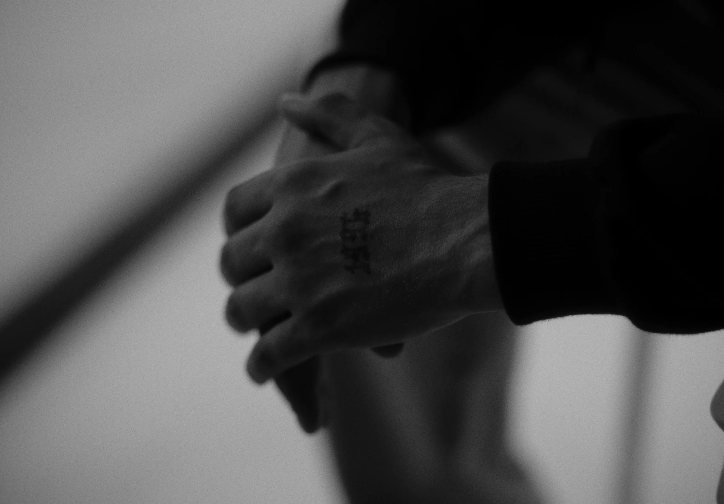 Jamule - EDS_1.10.1.jpg