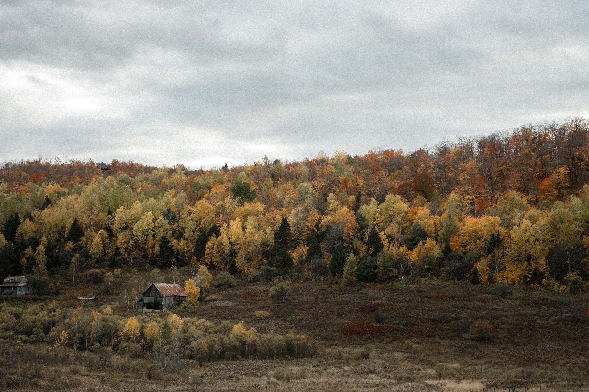 Fall Elopement in Quebec Laurentians-118.jpg