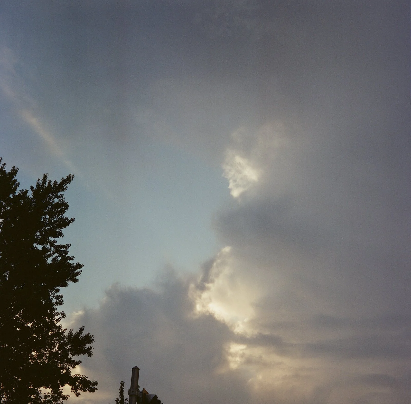 Film Photography Wedding Canada - 31.jpg