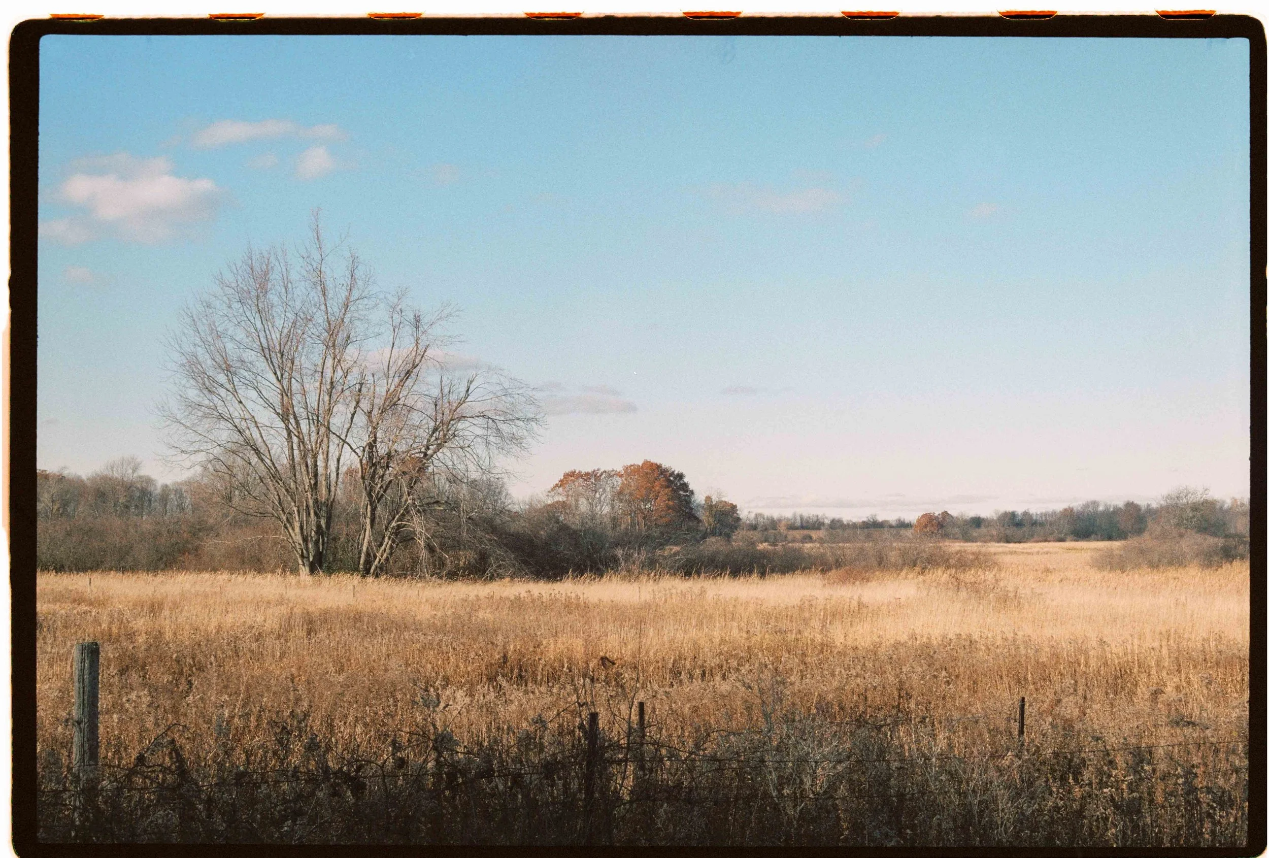 Film Photography Wedding Canada - 71.jpg