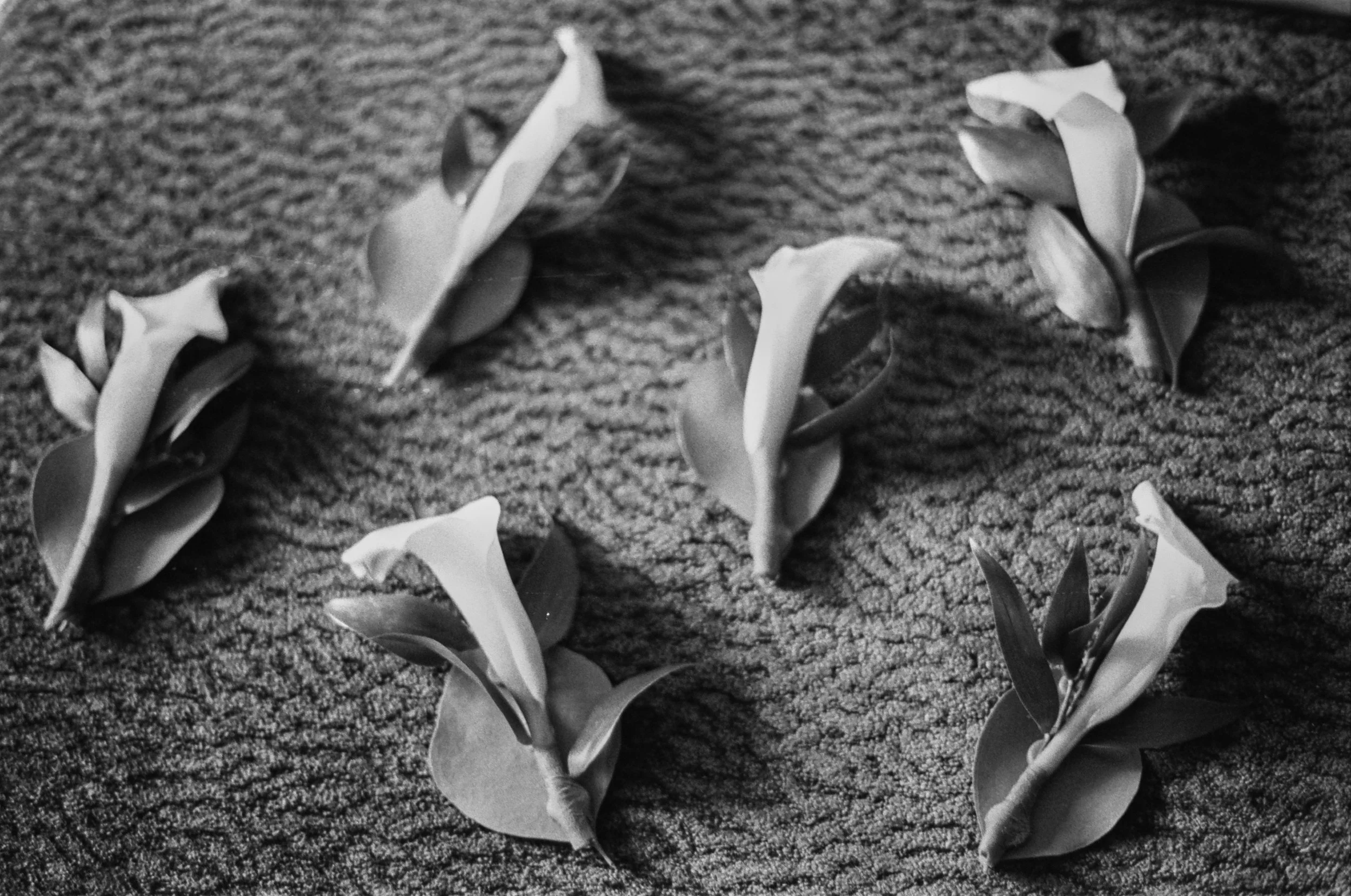 Film Photography Wedding Canada - 77.jpg