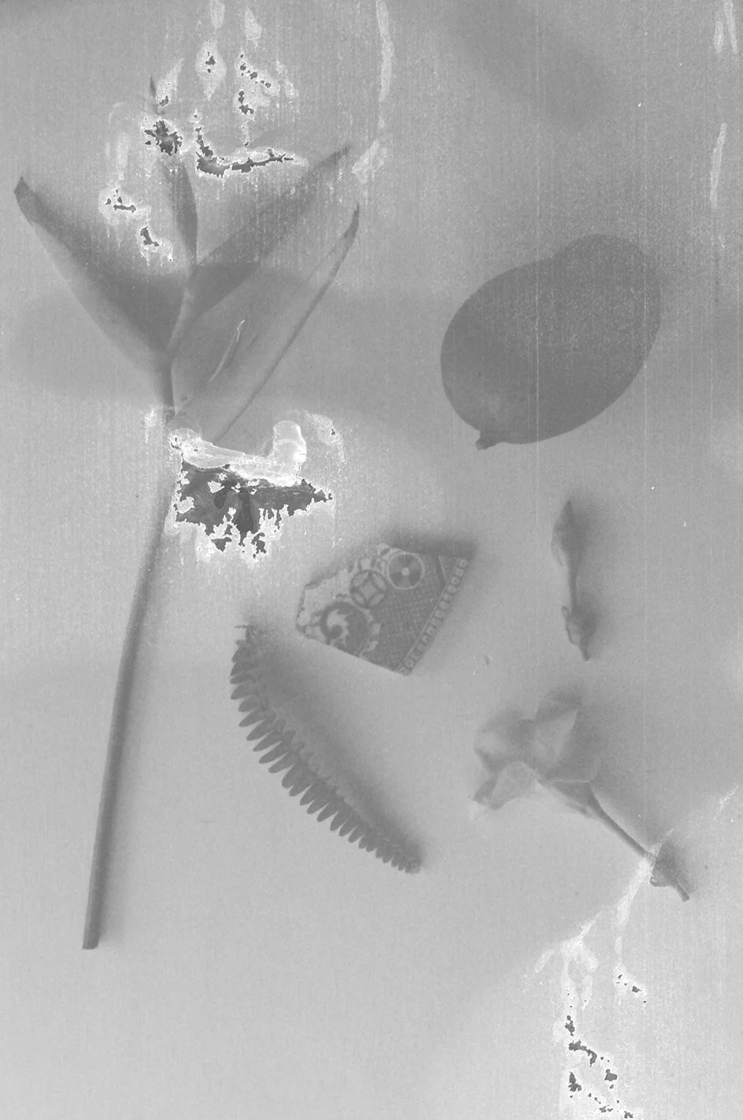 Film Photography Wedding Canada - 47.jpg