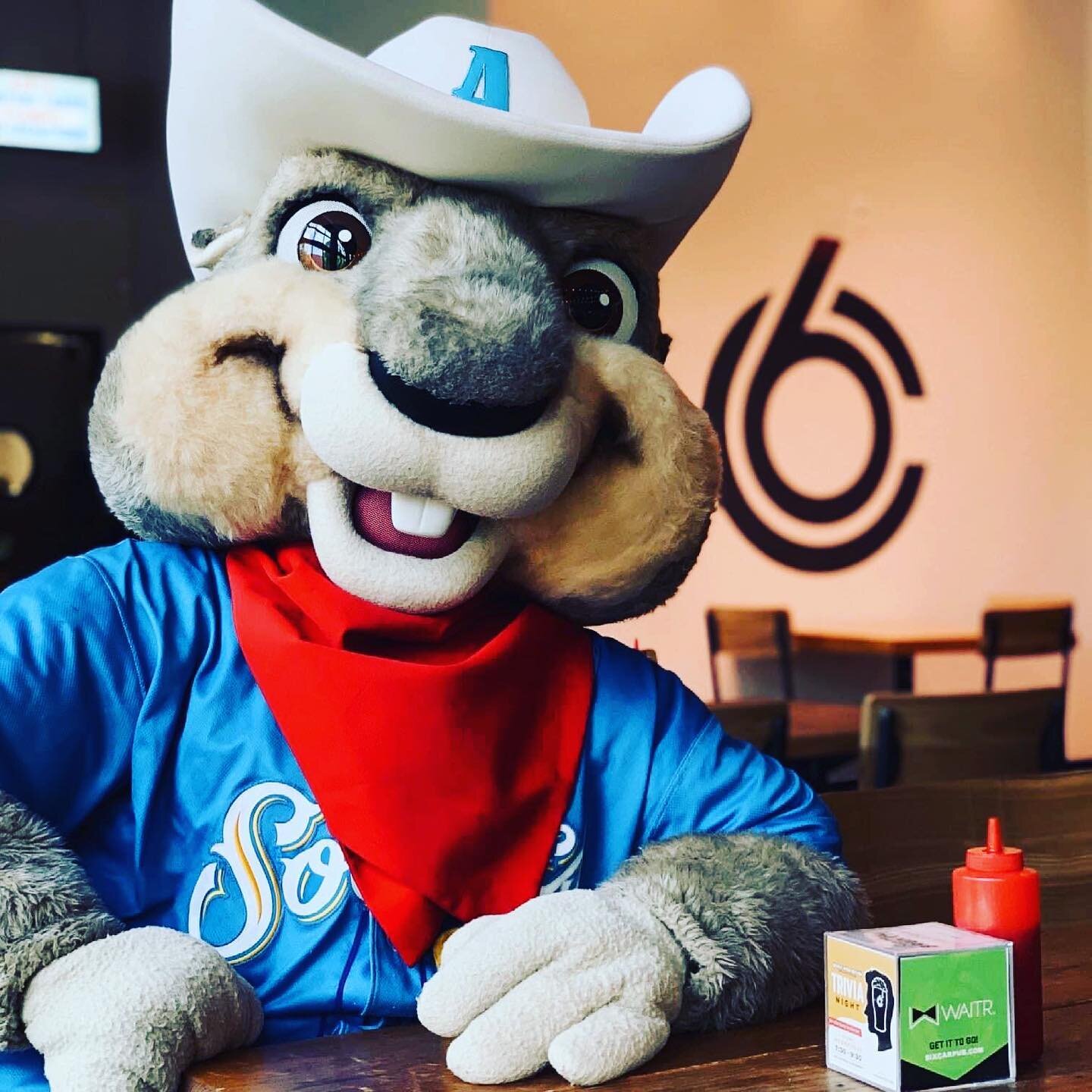 Ruckus is joining us for brunch tomorrow at Six Car from 11am-12pm.  Bring the family out and get your picture with Ruckus! 

Come celebrate with us and your @amarillosodpoodles champions!!! We will also have $3 Sud Puddles all morning long from 10:3