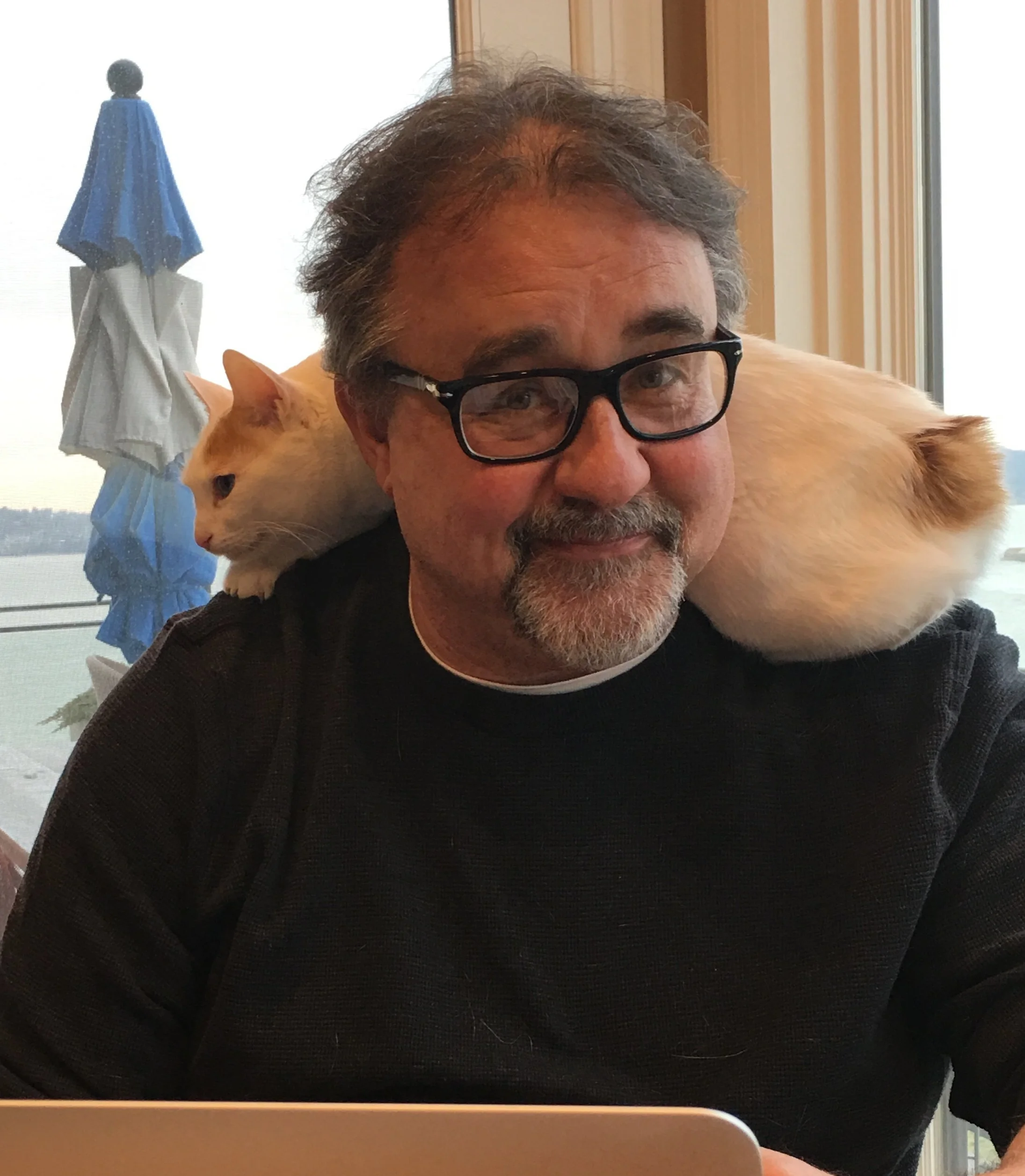 Don doing research at Sarah's, overseen by her cat, Dizzy