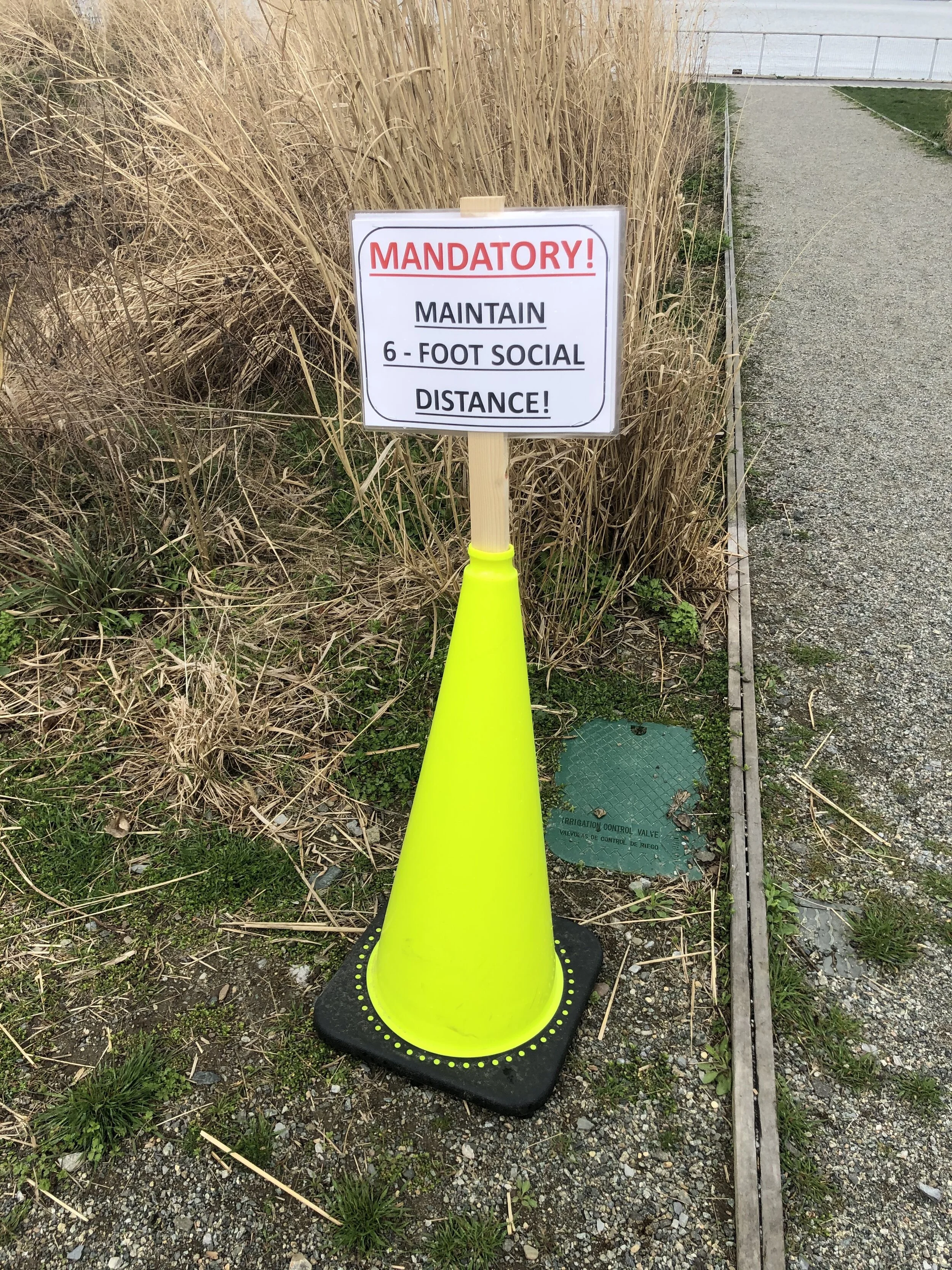 Return to Sheridan Square