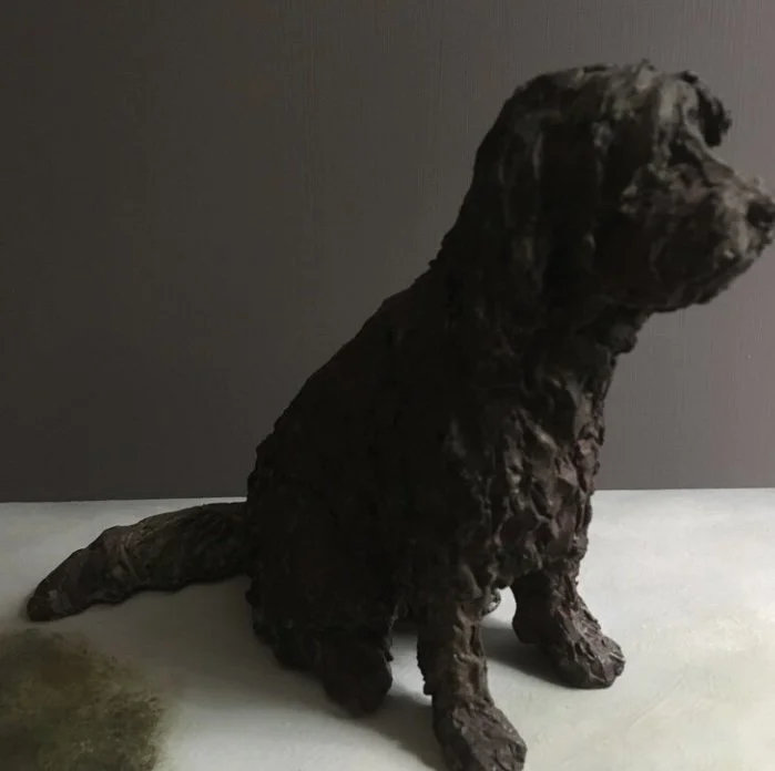 Dog - £195 - BRSMS