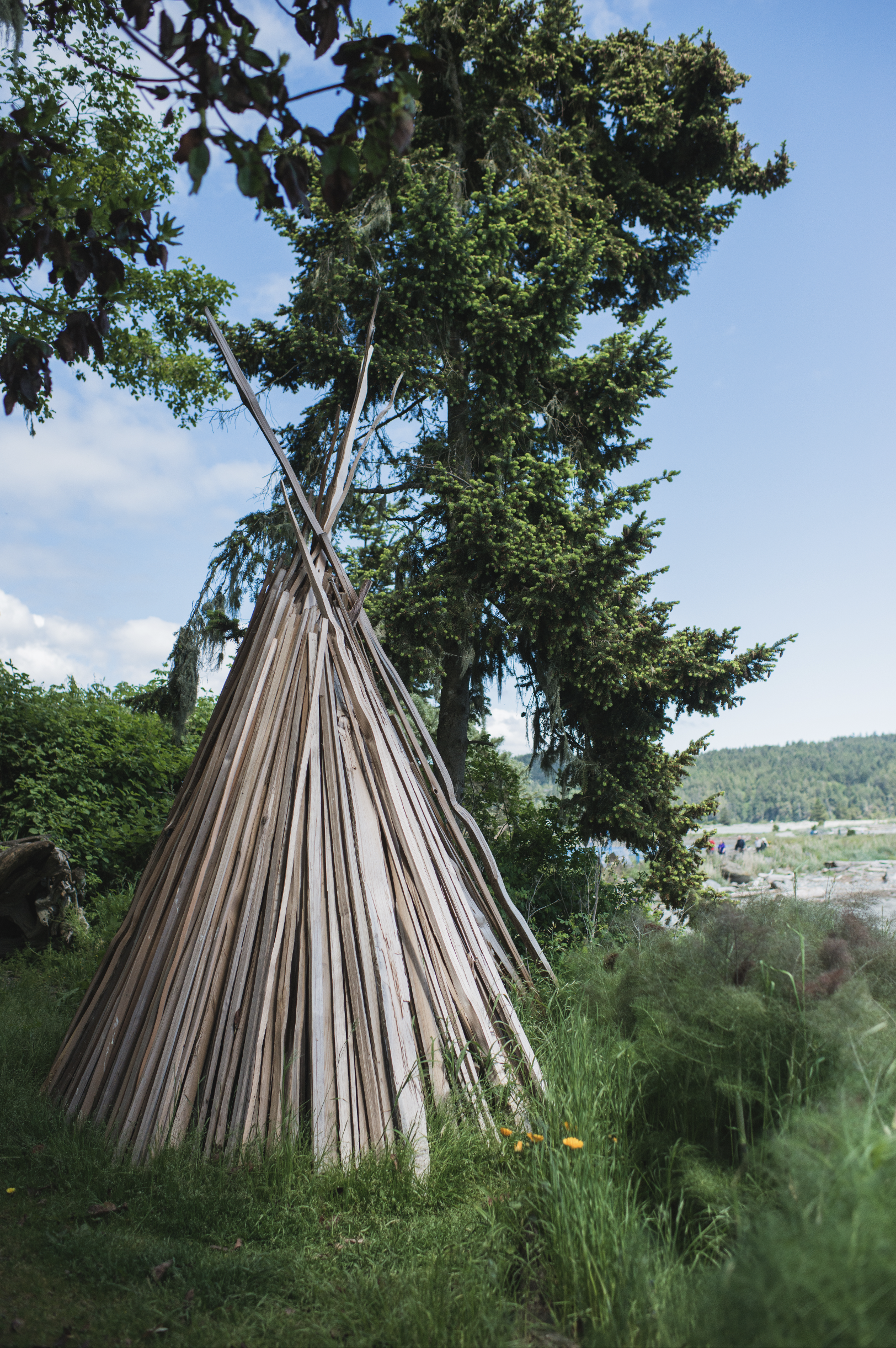 Screen Shot 2018-02-12 at 2.57.26 PM.png