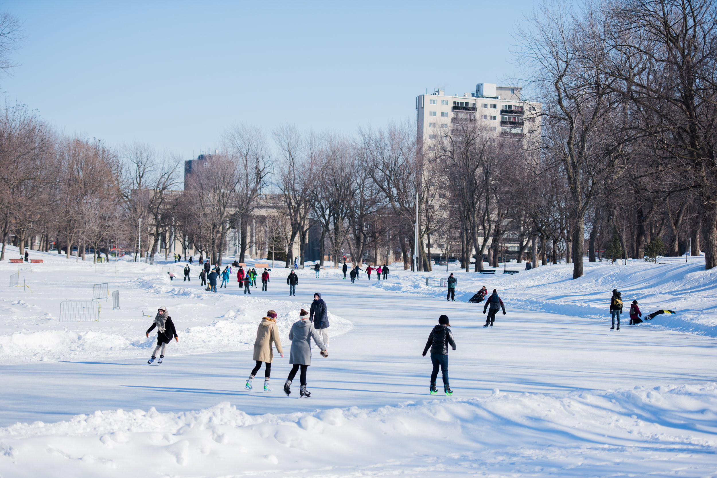 Parc la Fontaine, Montreal