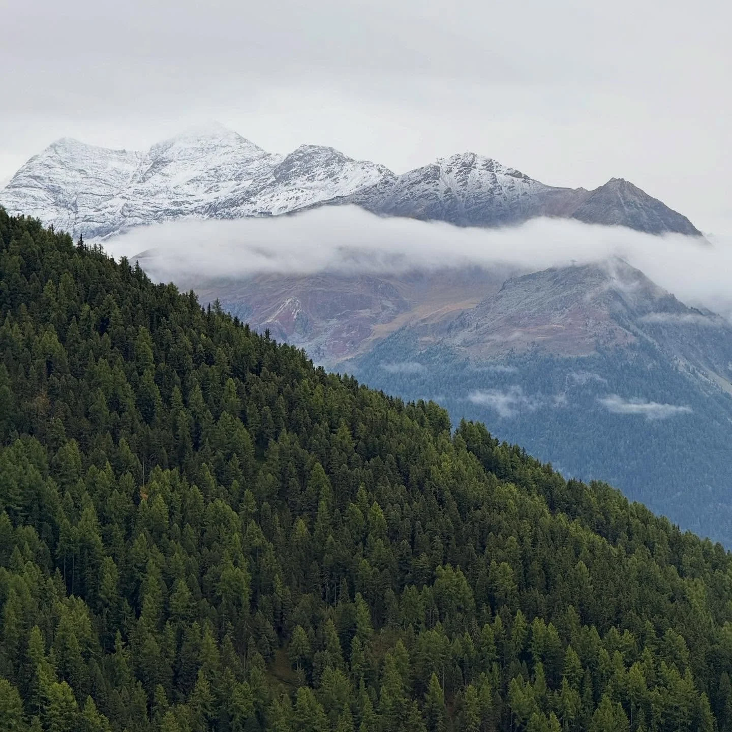 Chandolin, j&rsquo;adore ❤️

To prepare for Worlds and the final stretch of the season, there truly wasn&rsquo;t a better place to stay:
🏔️ 2000m altitude
🏞️ A long flat valley just 500m away
🌲 Natural trails (nothing beats Wallis)
🚵 Flow trails
