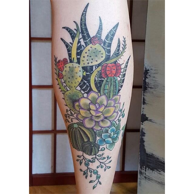 🌵Healed cacti and succulents🌵 by @dorothytattoo💚
.
.
.
#healedtattoo #cactustattoo #succulenttattoo #botanicaltattoodesign #botanicaltattoo