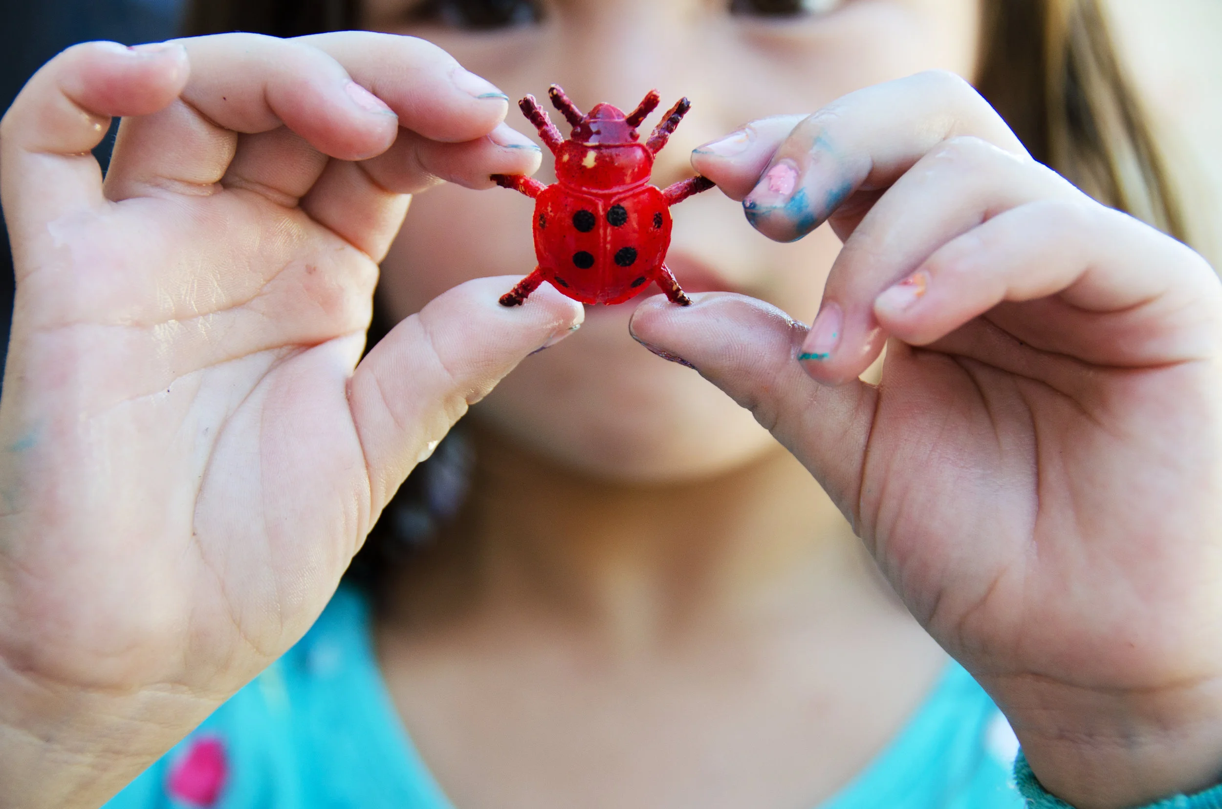 BugClubMSC4.jpg