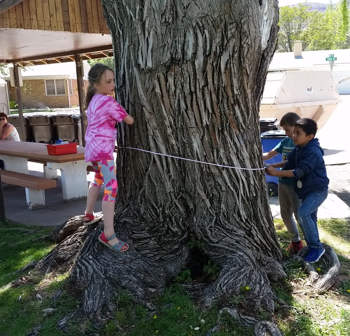20180427_132131.jpg