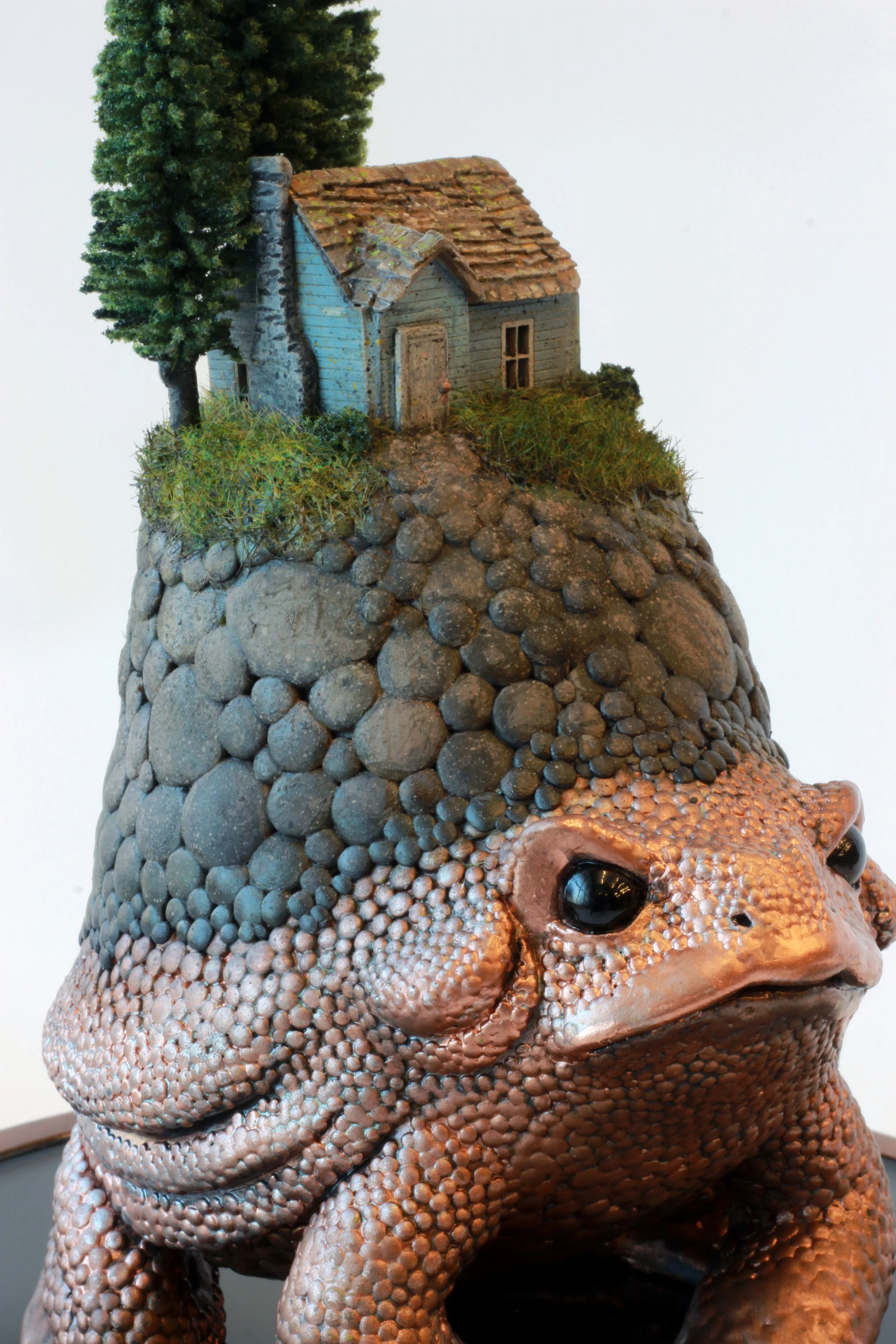 terraform5.jpg