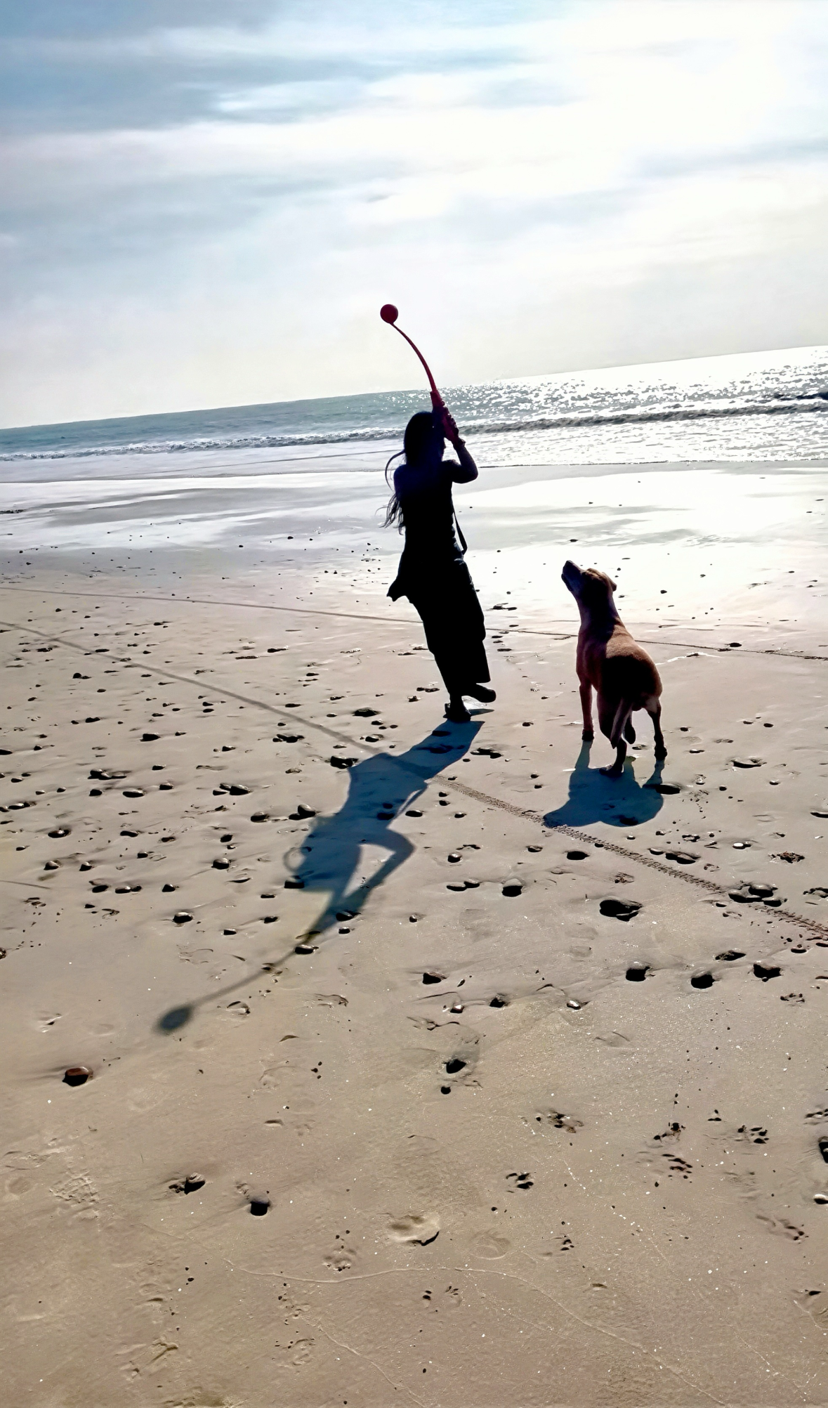 Cristy Hunter walking her dog on the beach